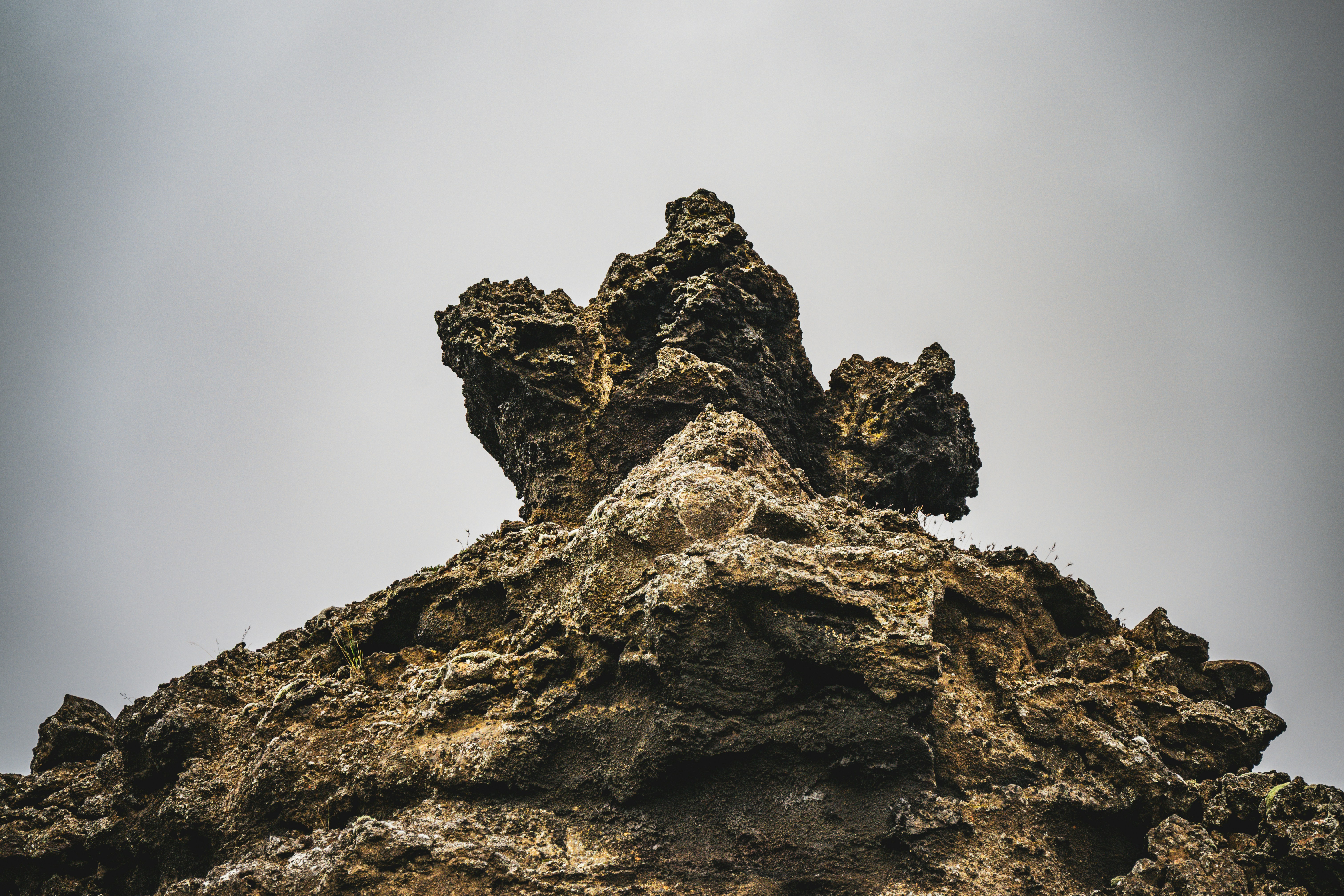 Photo by justmejuliee