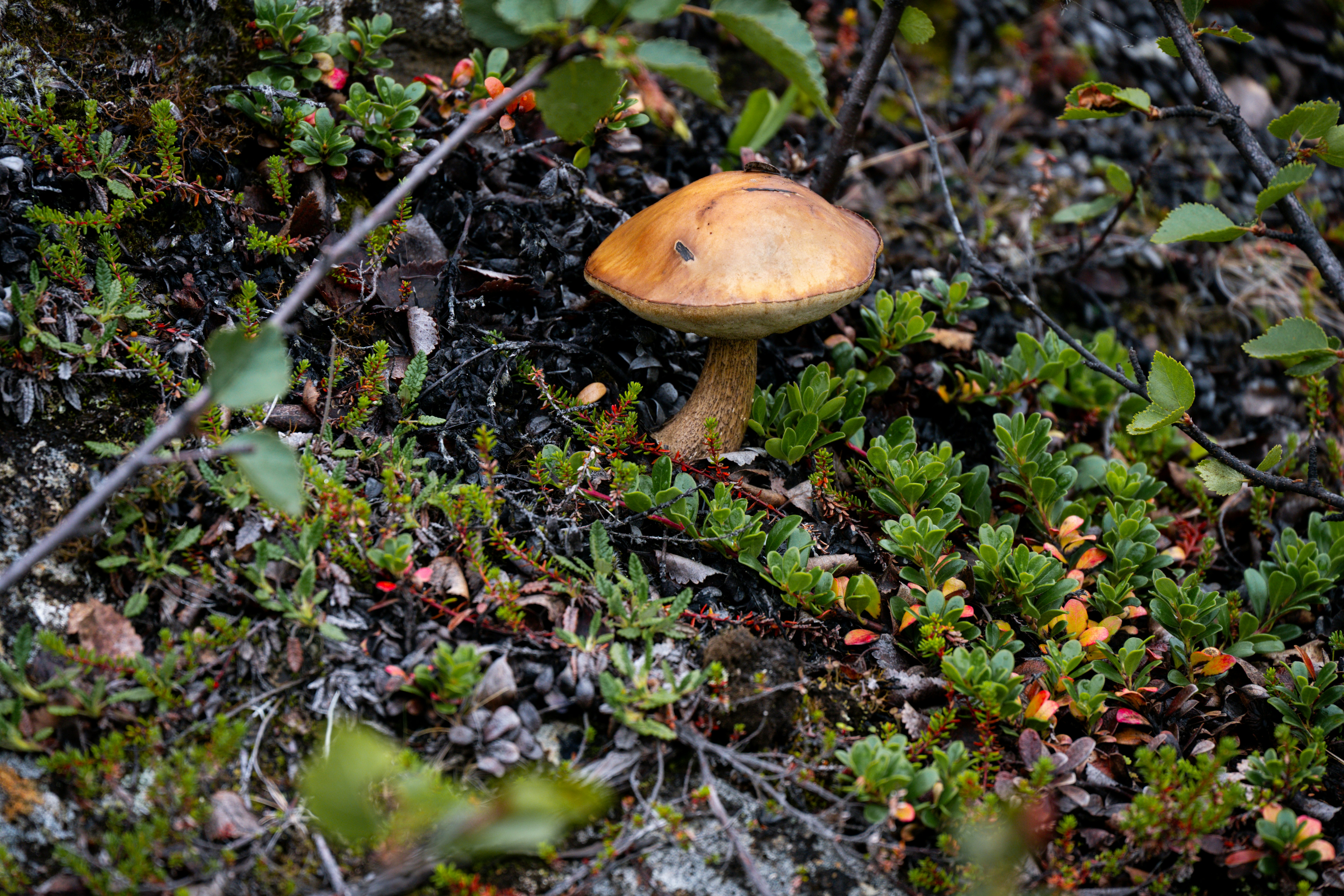 Photo by justmejuliee