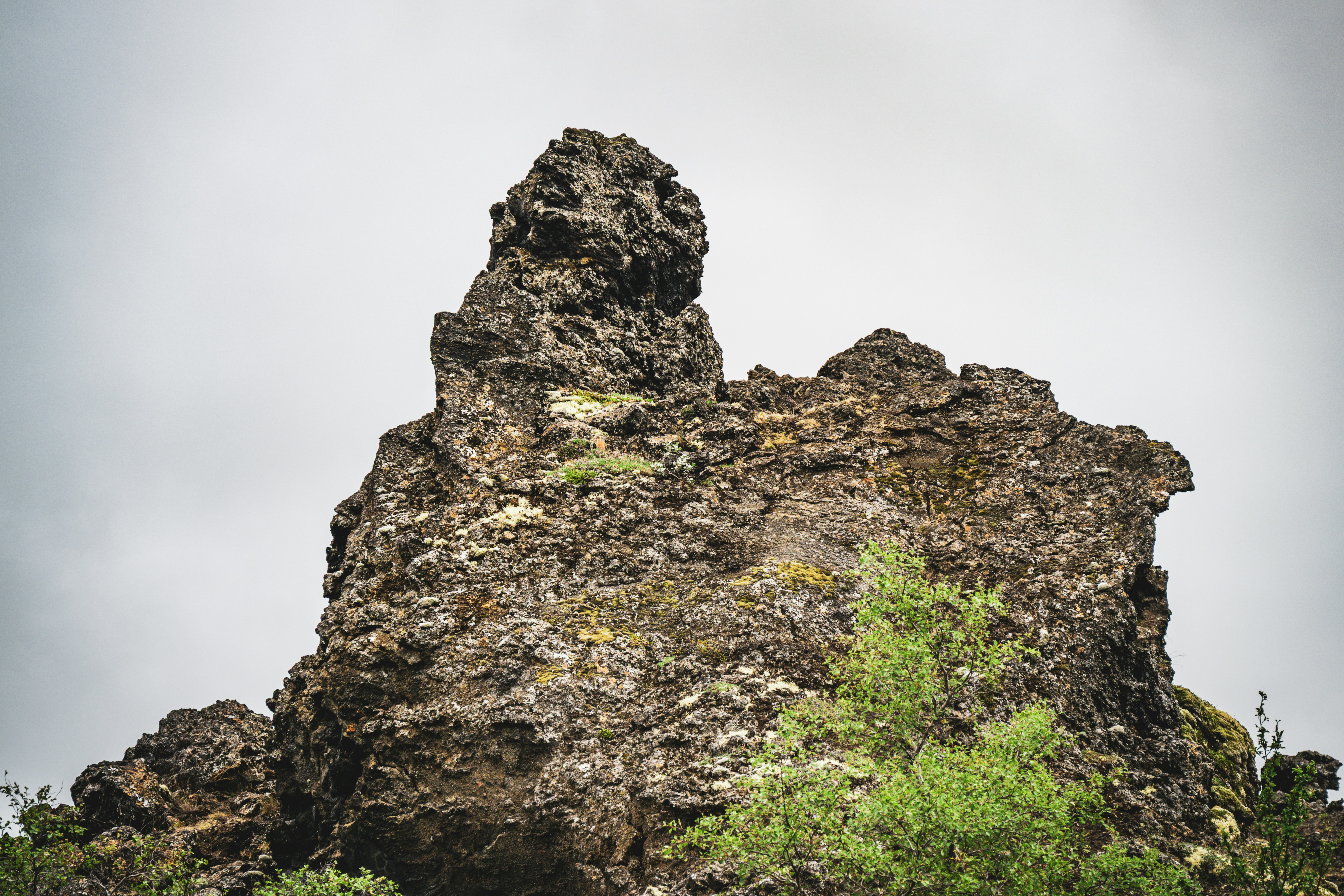 Photo by justmejuliee