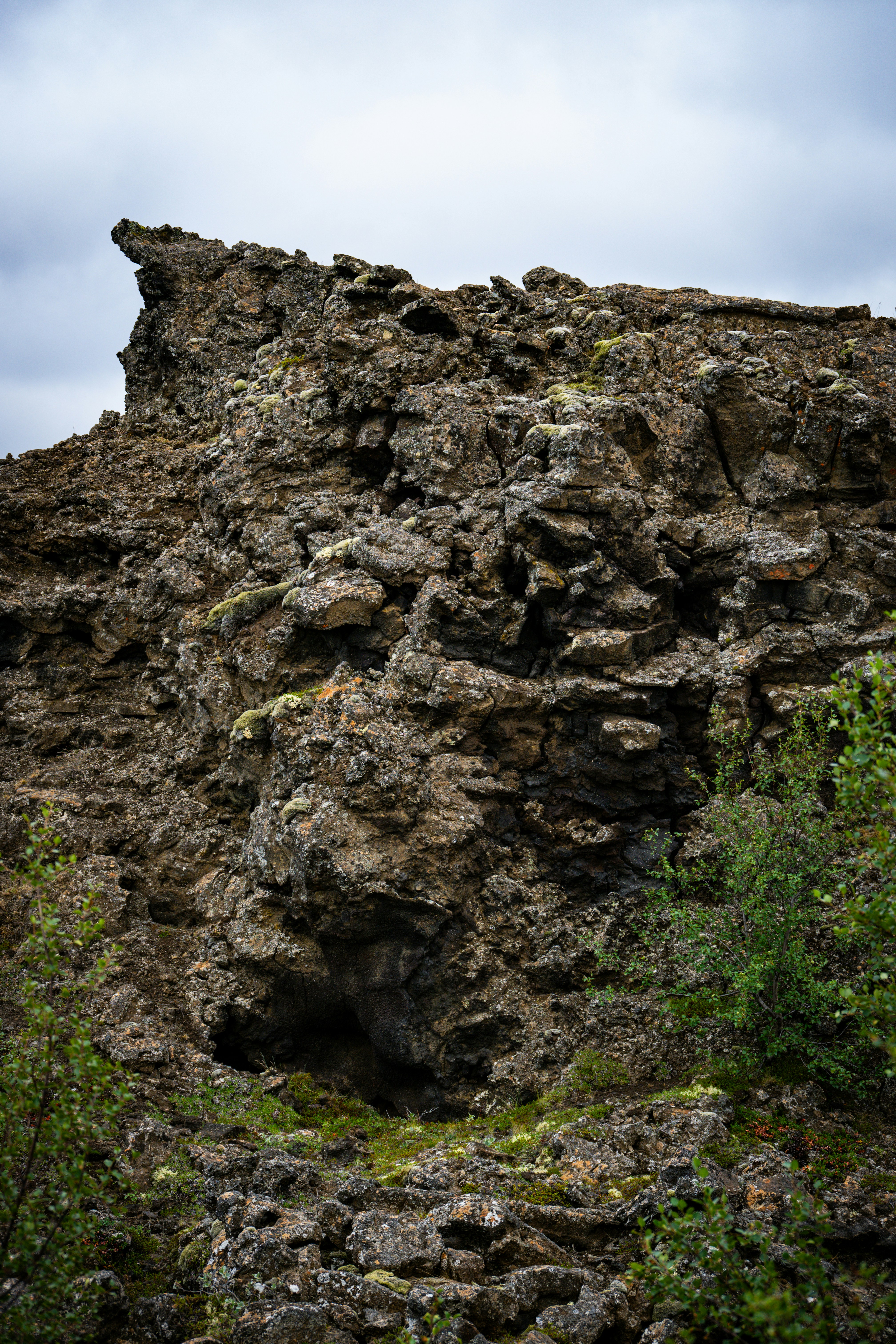 Photo by justmejuliee