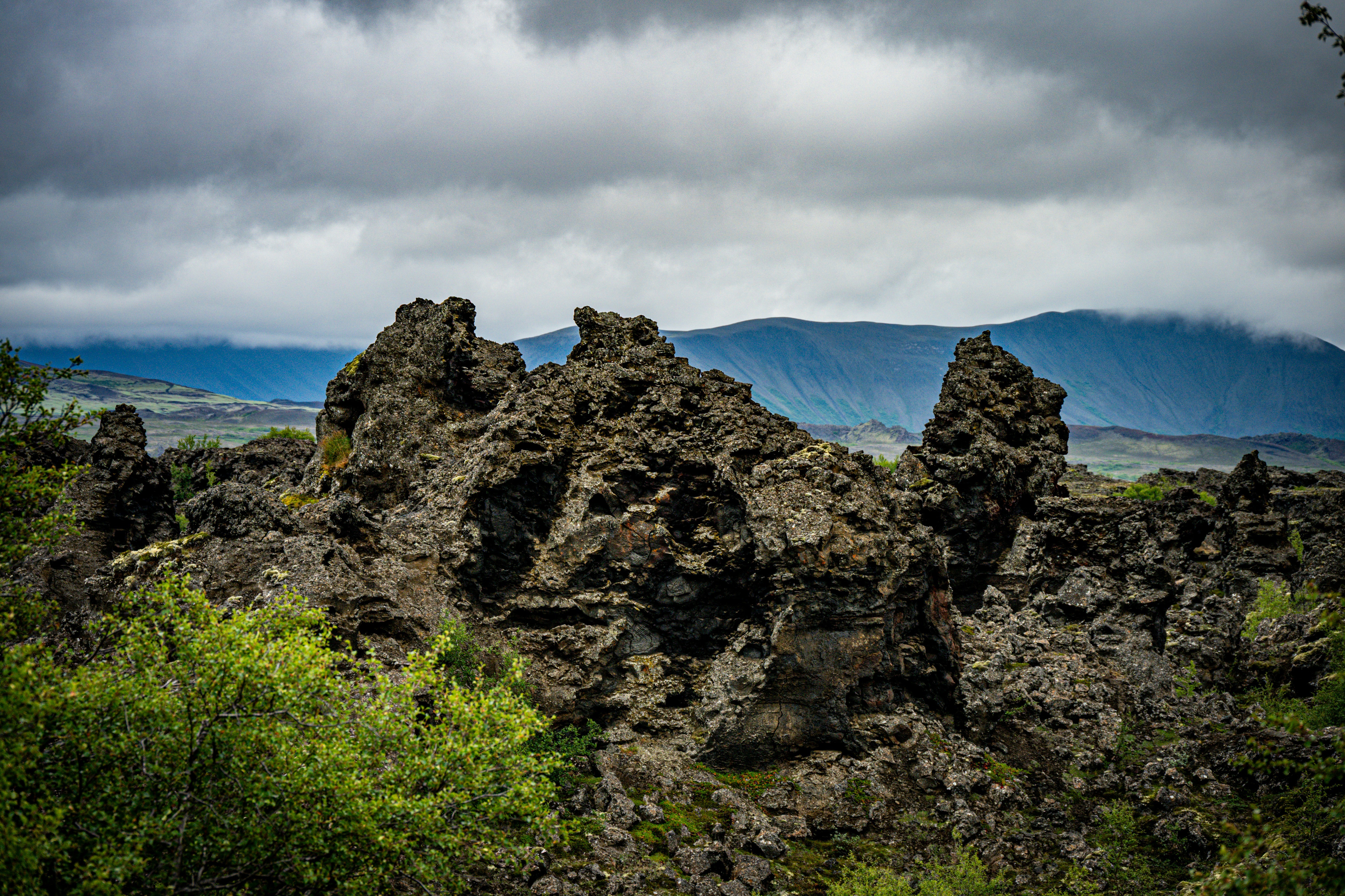 Photo by justmejuliee