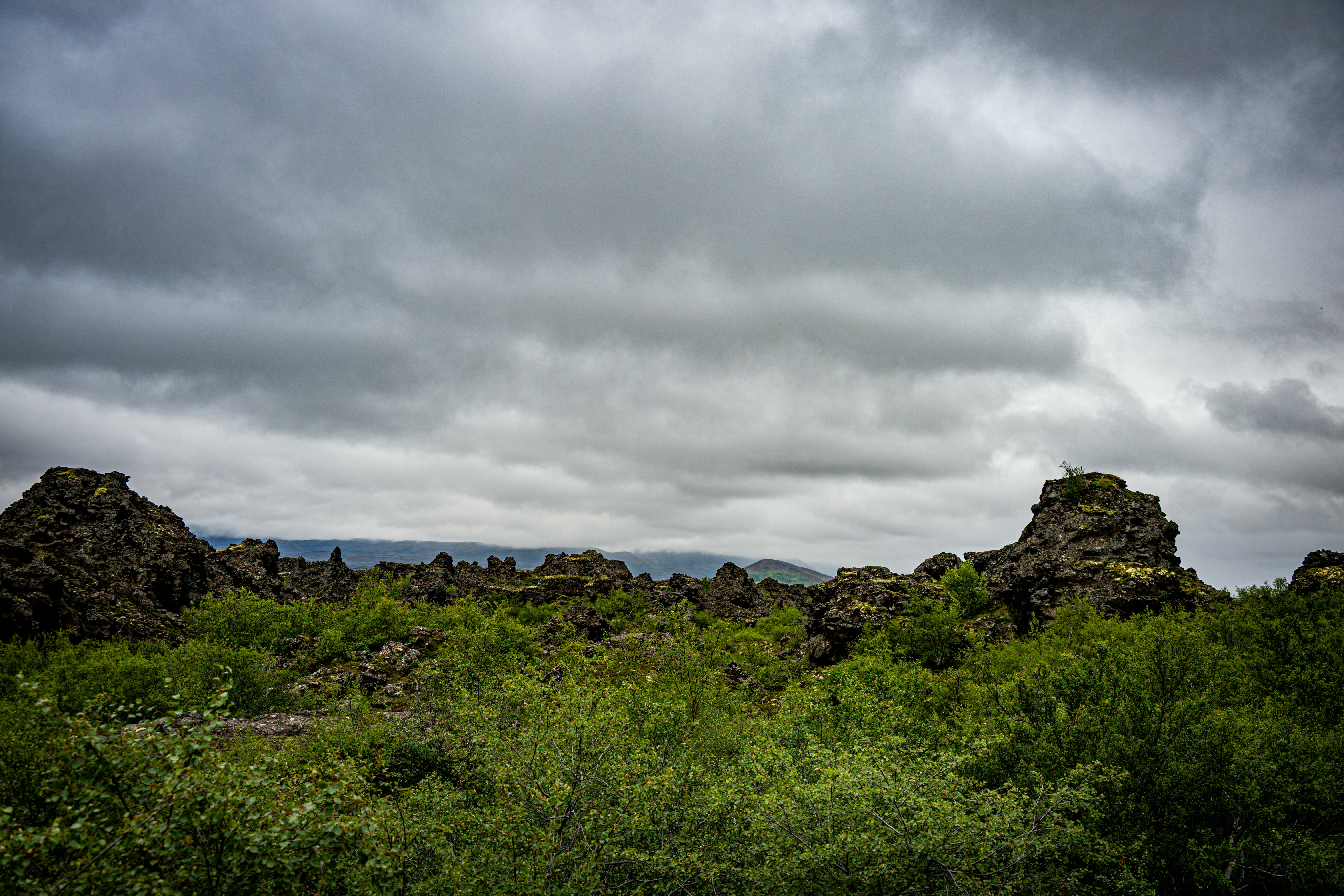 Photo by justmejuliee