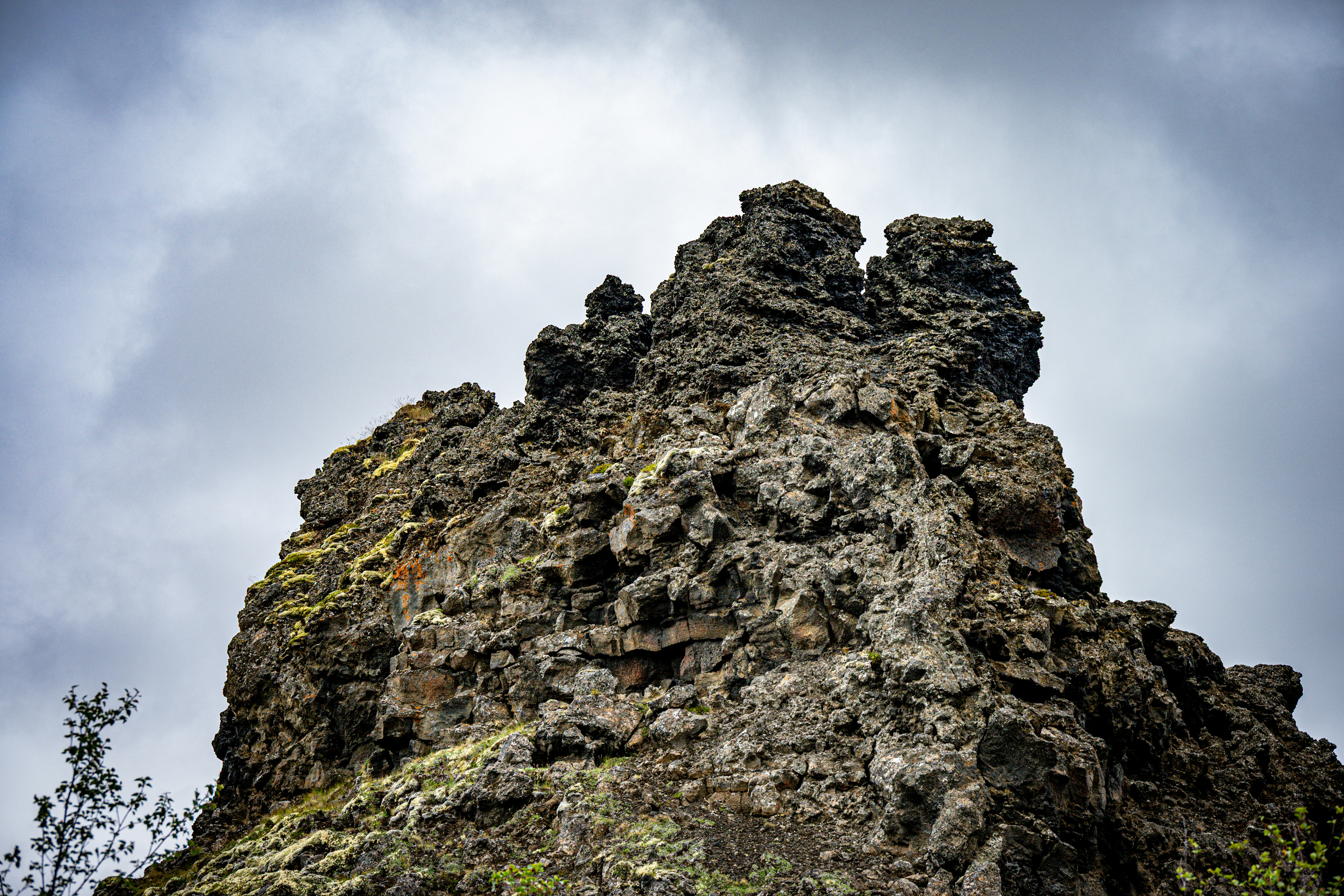 Photo by justmejuliee