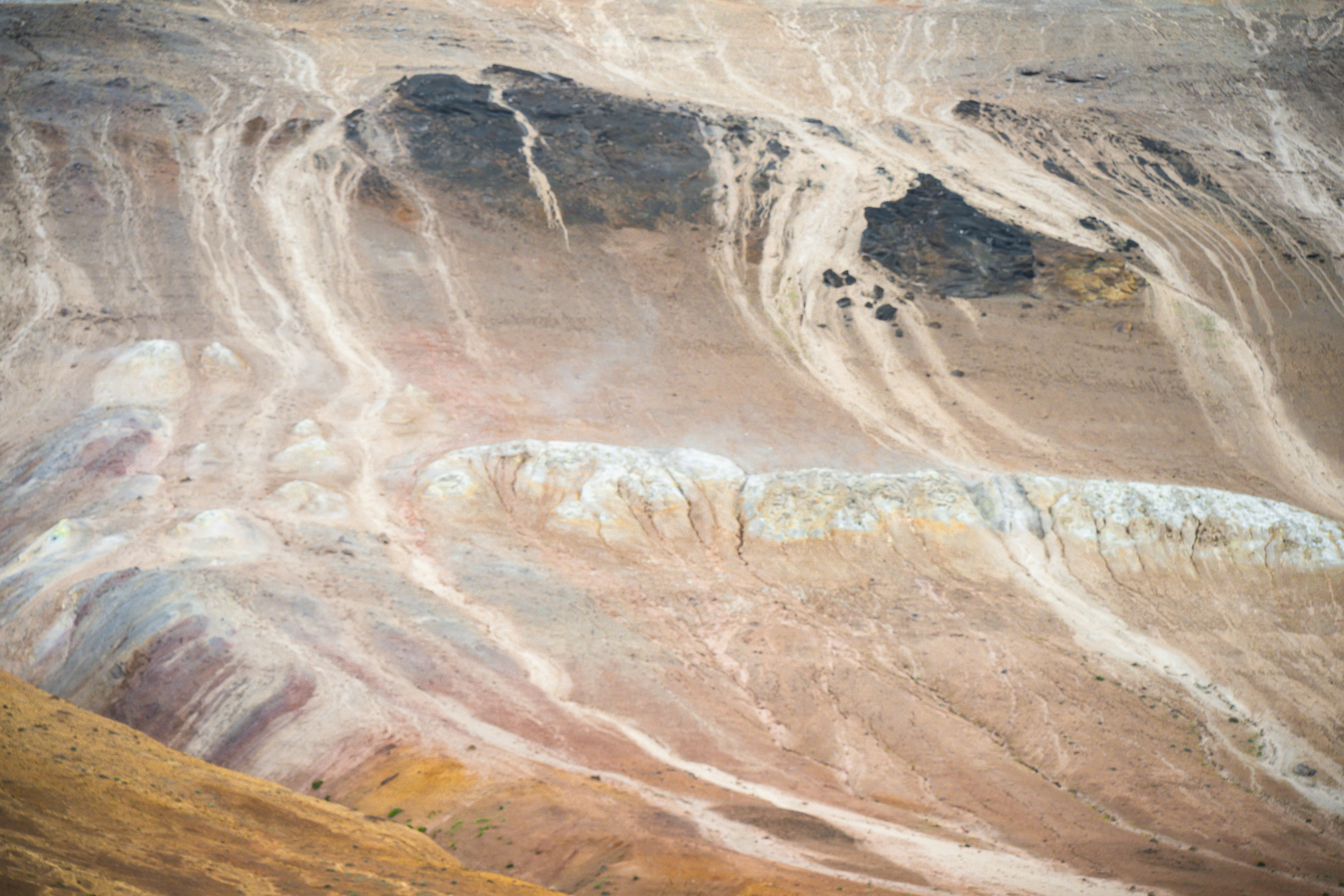 Photo by justmejuliee