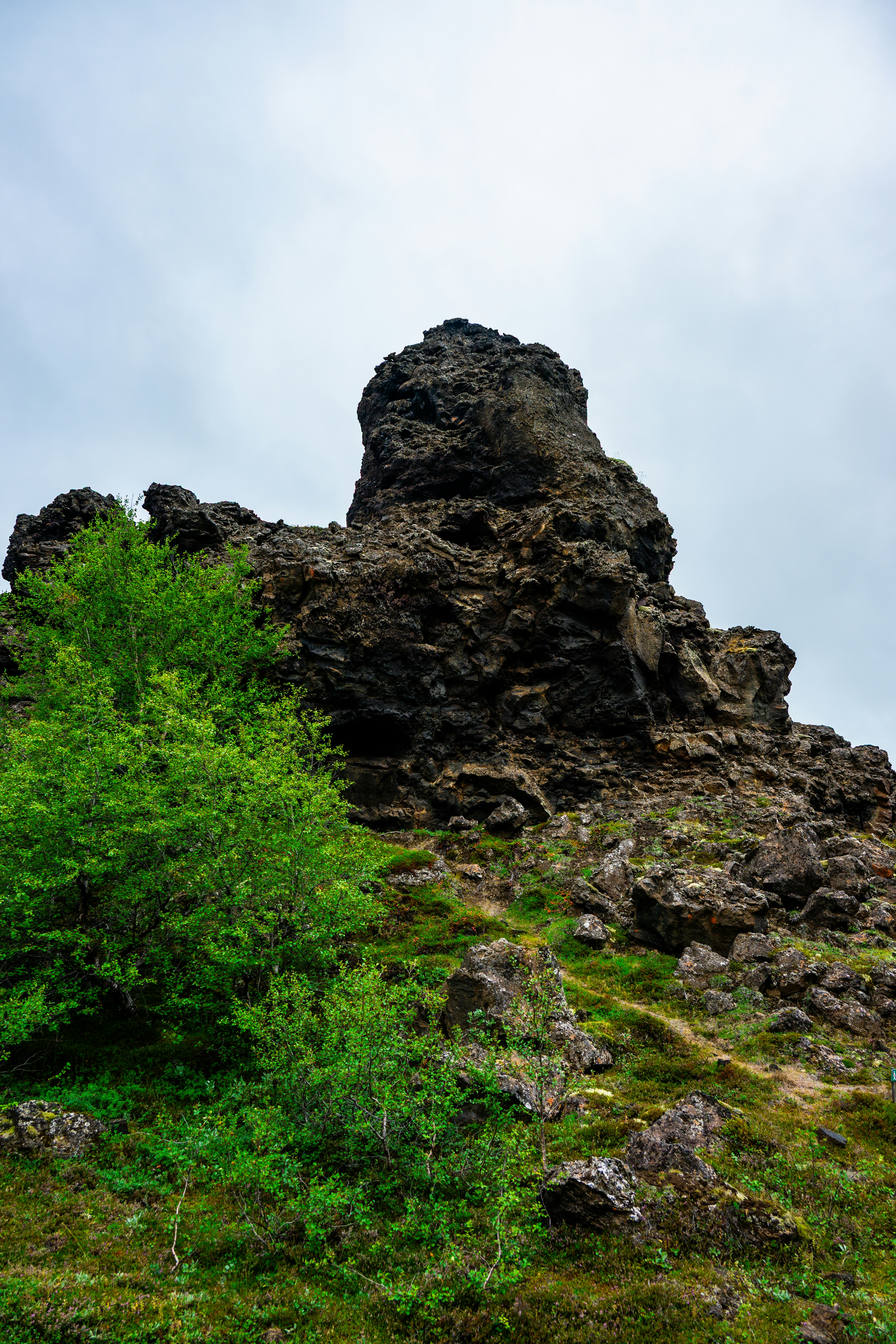 Photo by justmejuliee