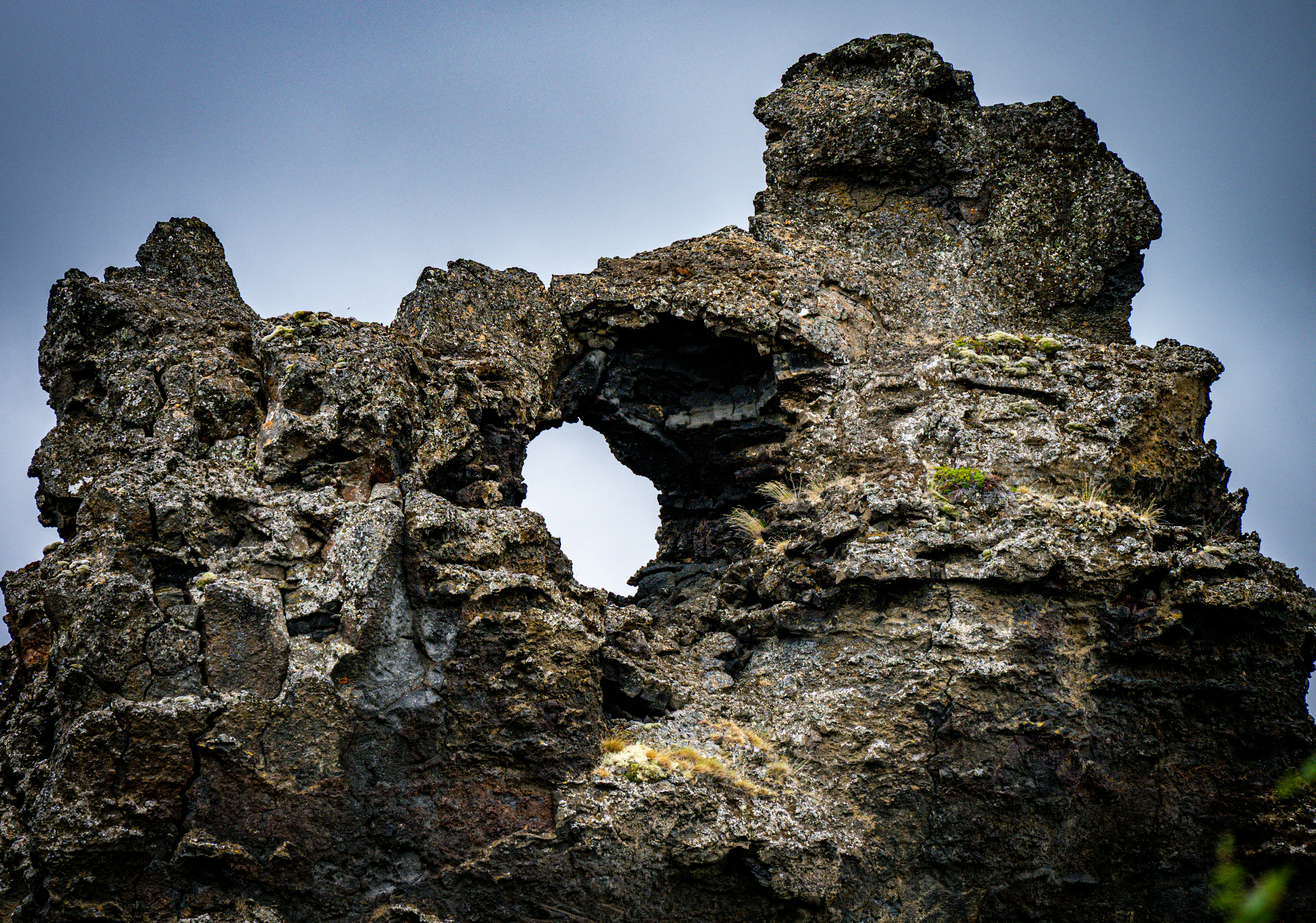 Photo by justmejuliee