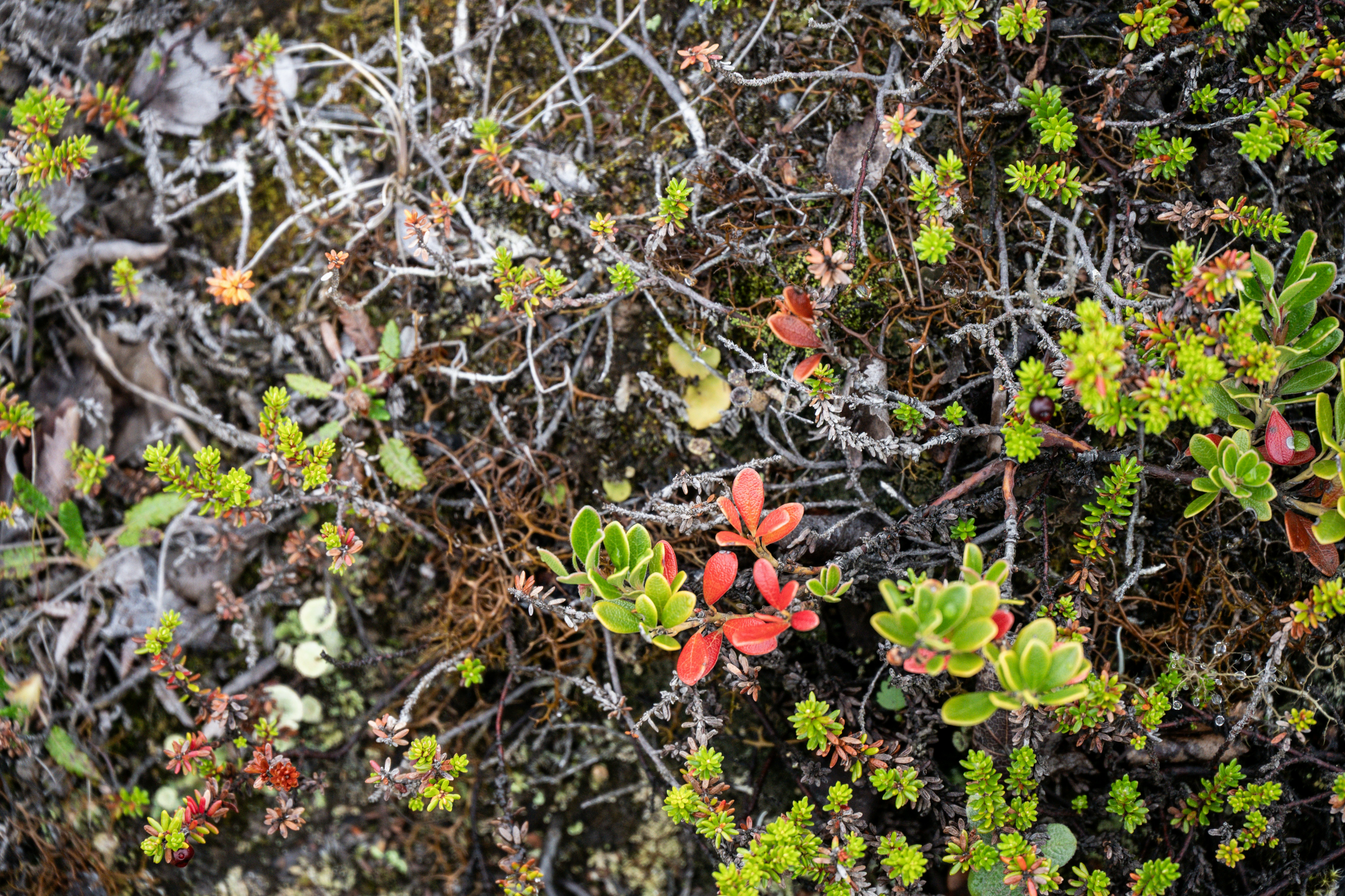 Photo by justmejuliee