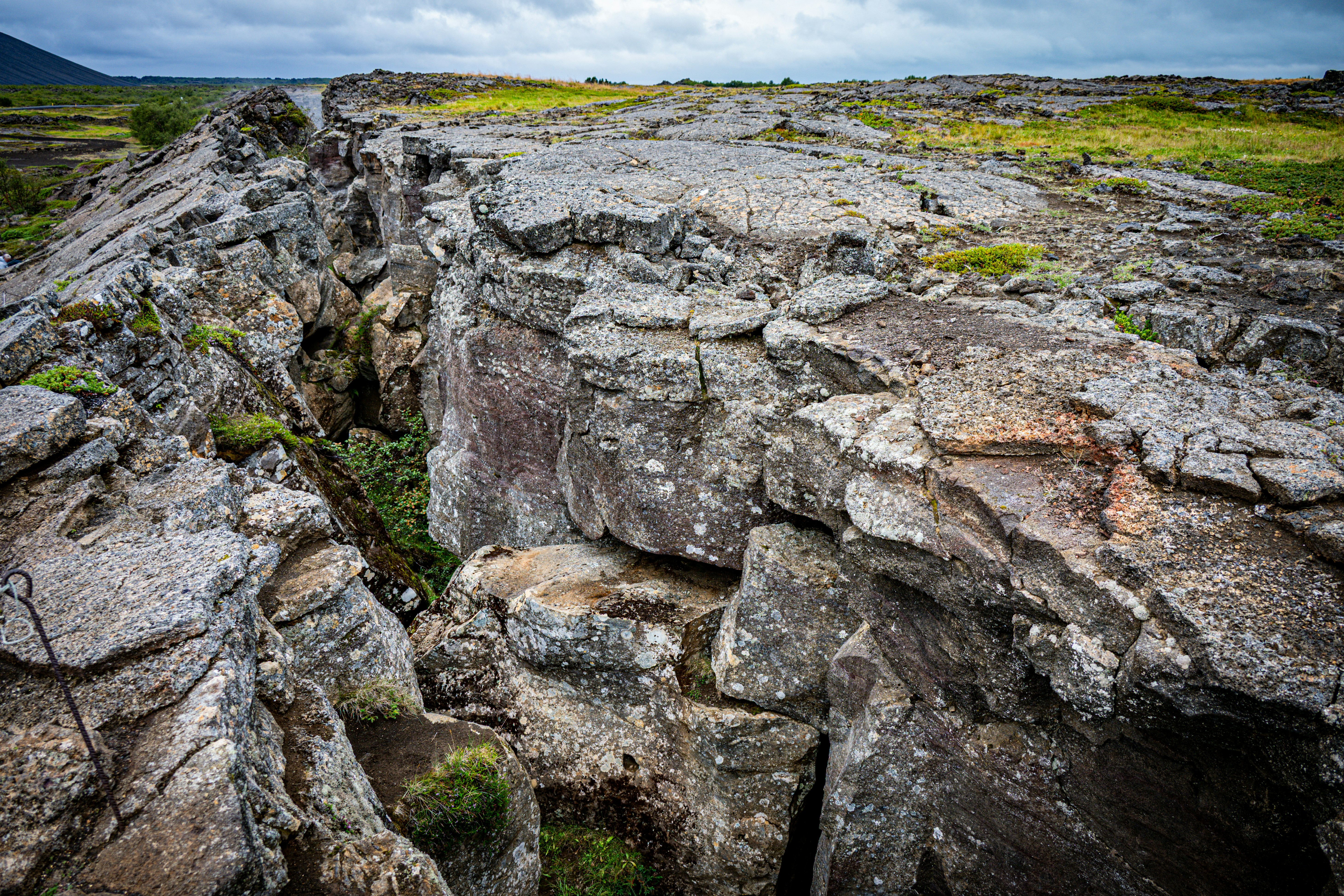 Photo by justmejuliee