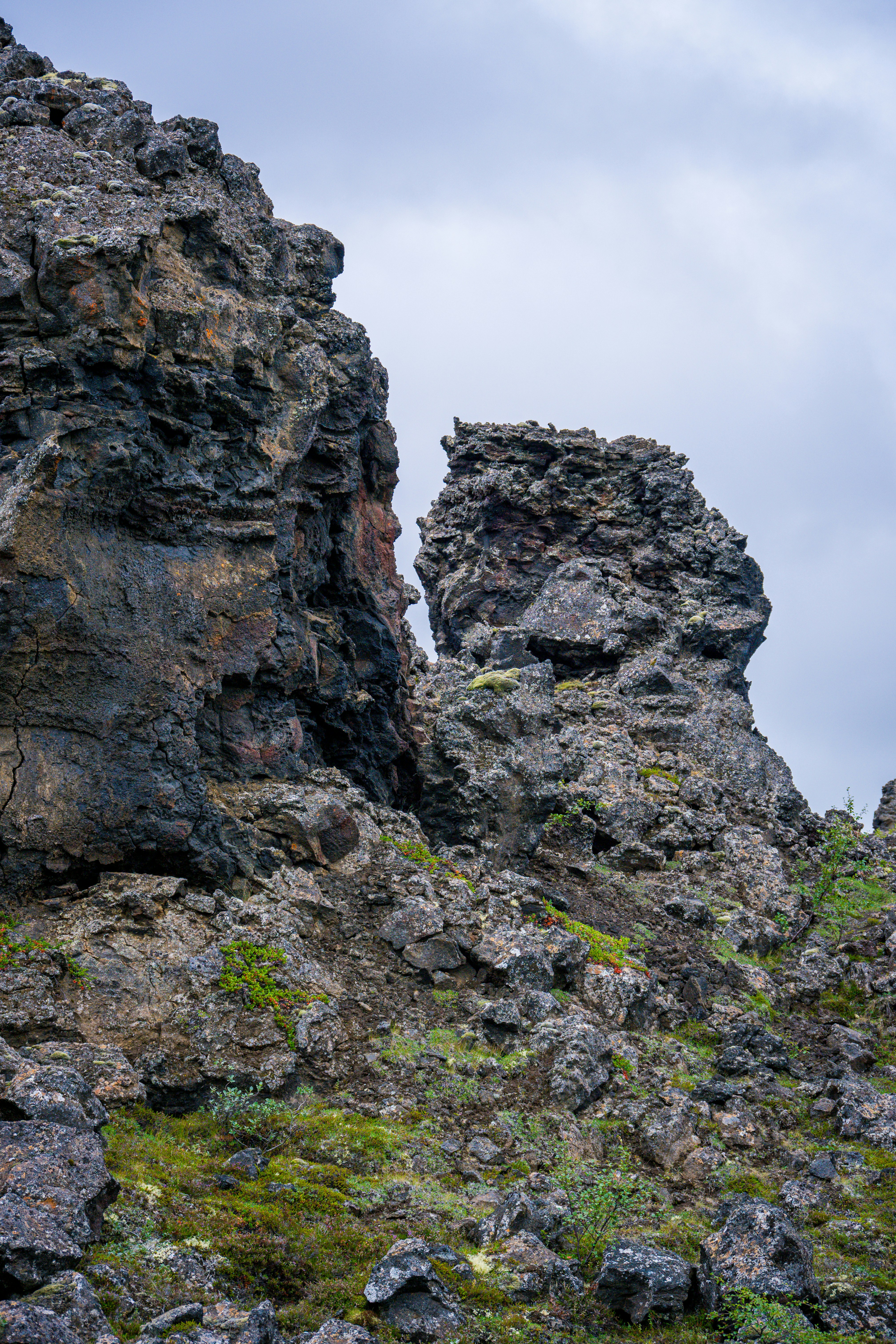 Photo by justmejuliee