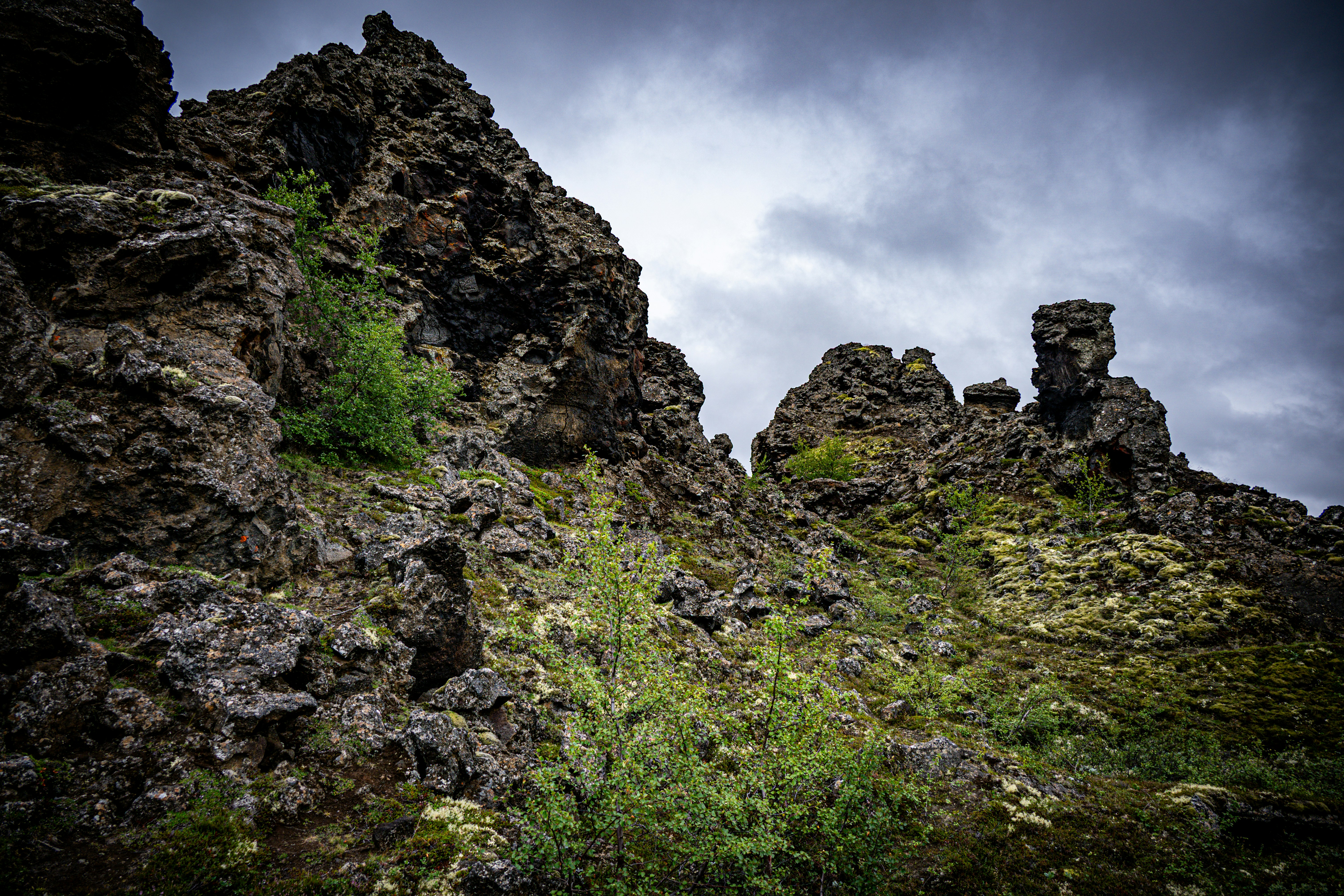 Photo by justmejuliee