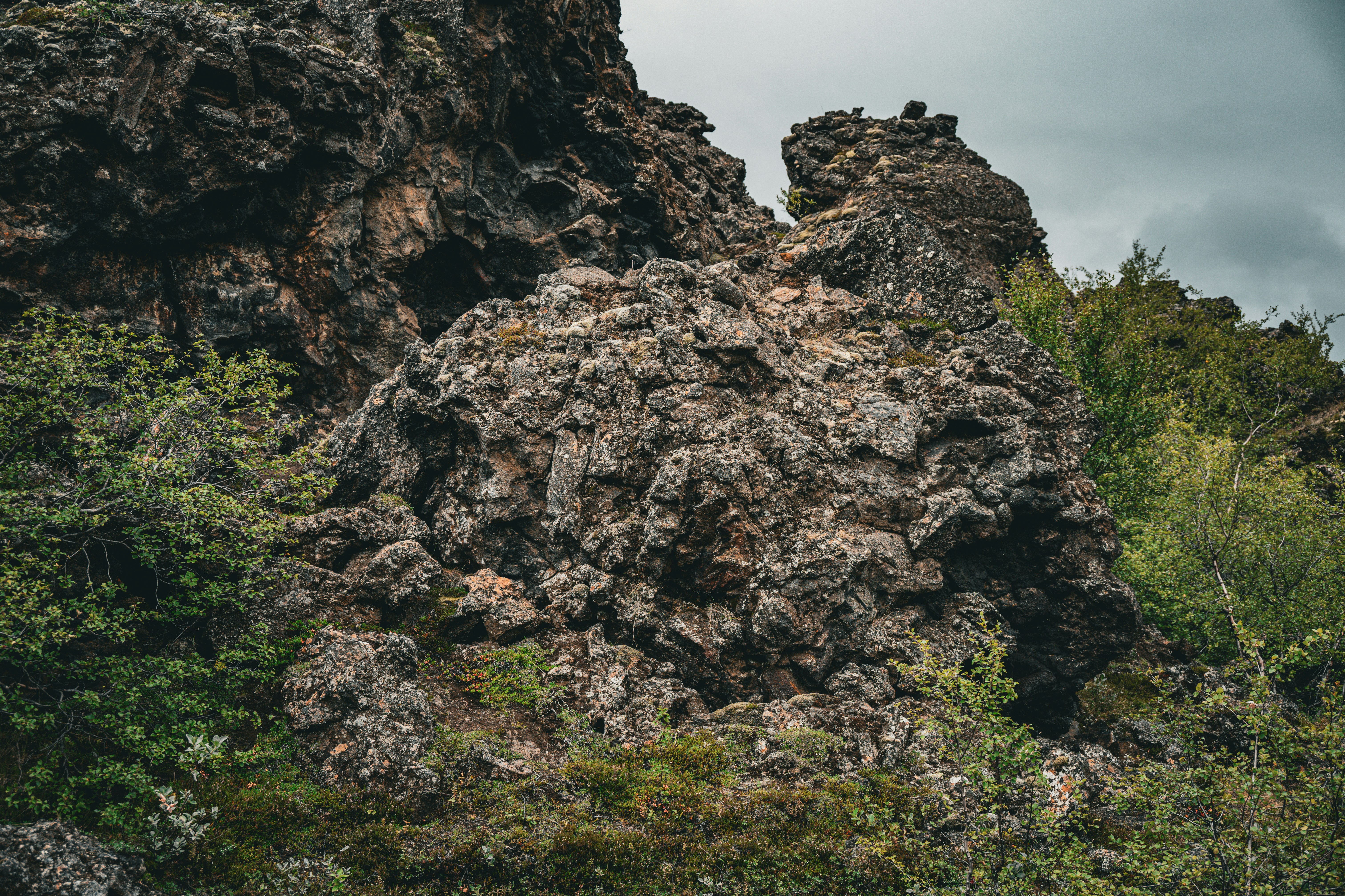 Photo by justmejuliee