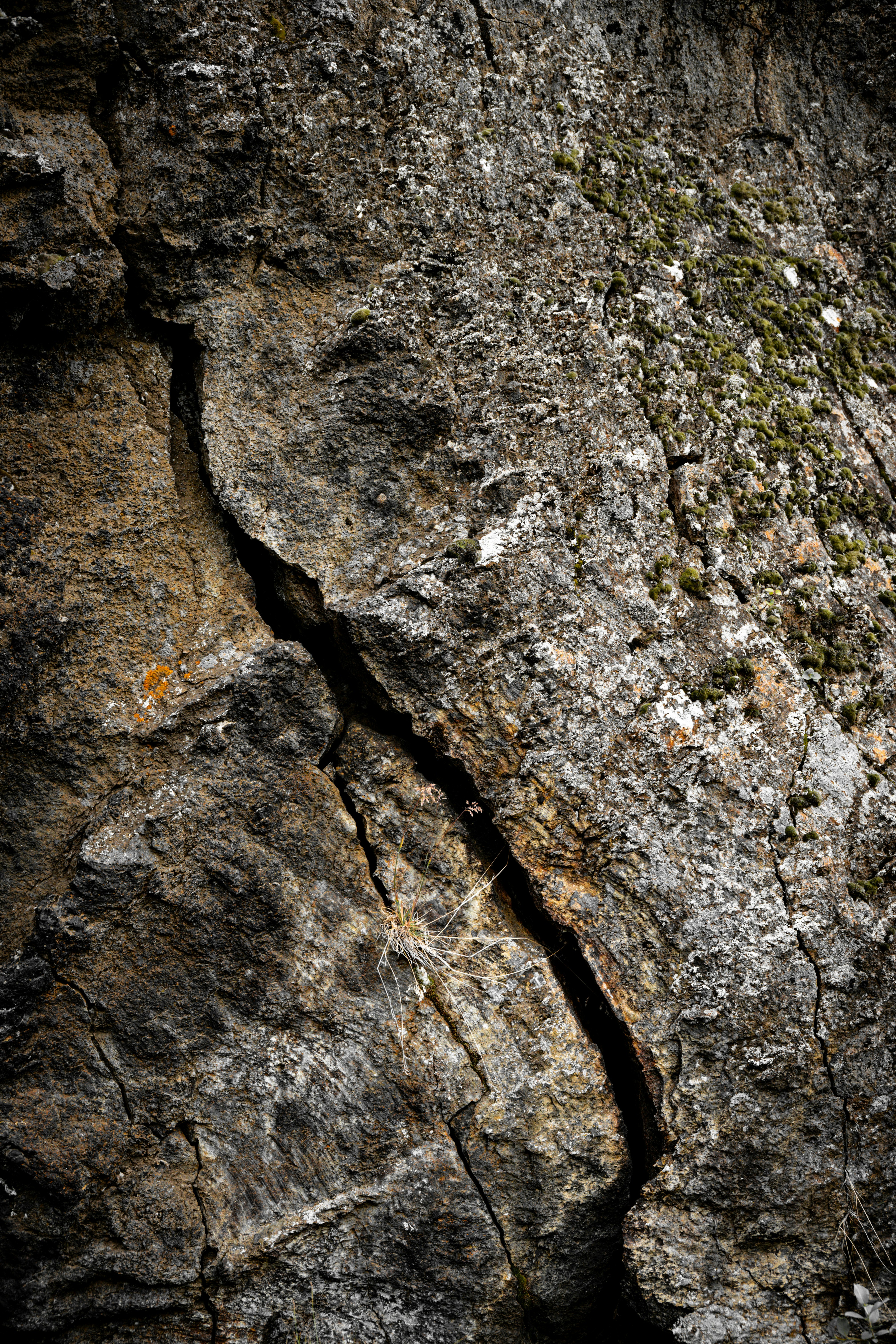 Photo by justmejuliee