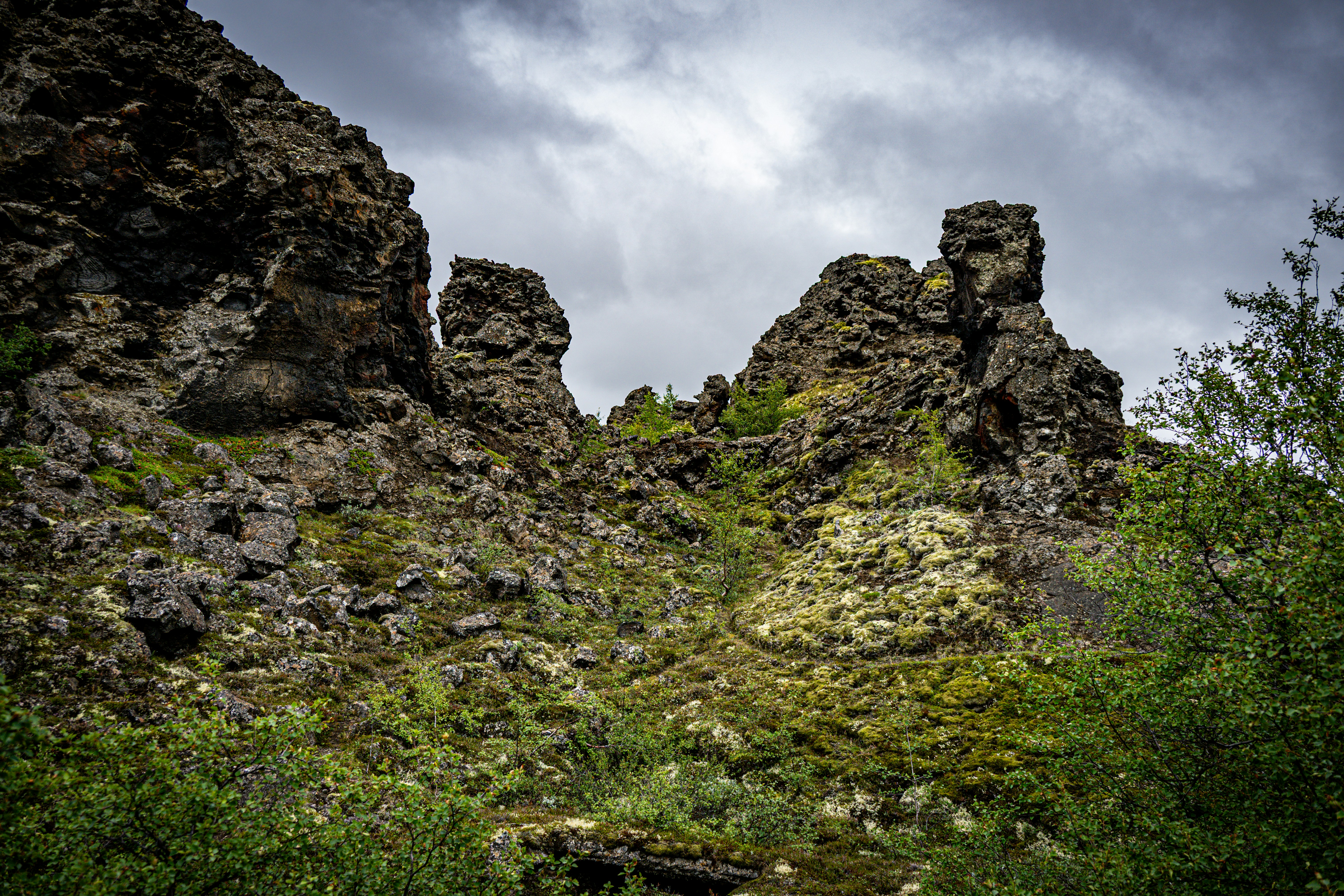 Photo by justmejuliee