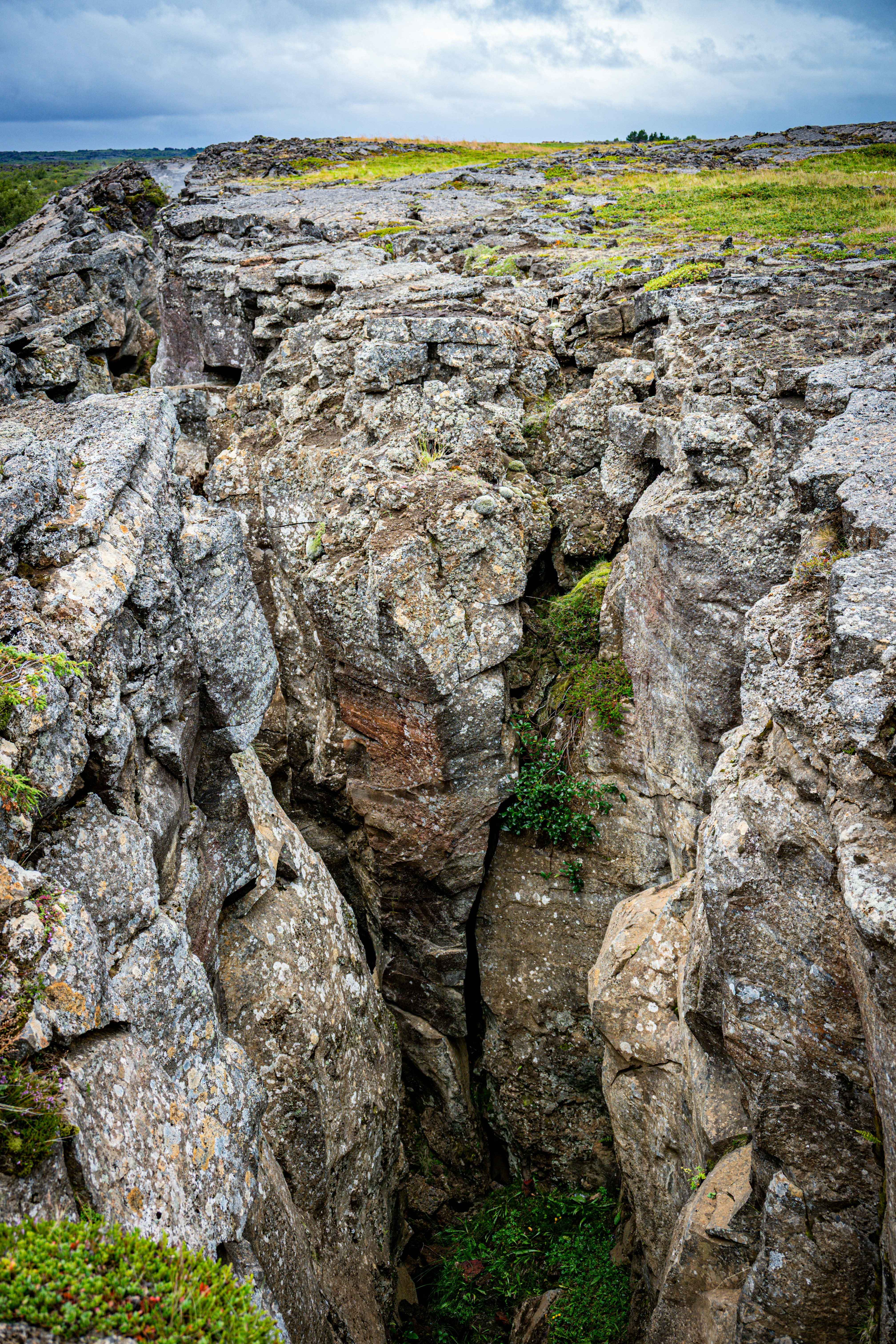 Photo by justmejuliee