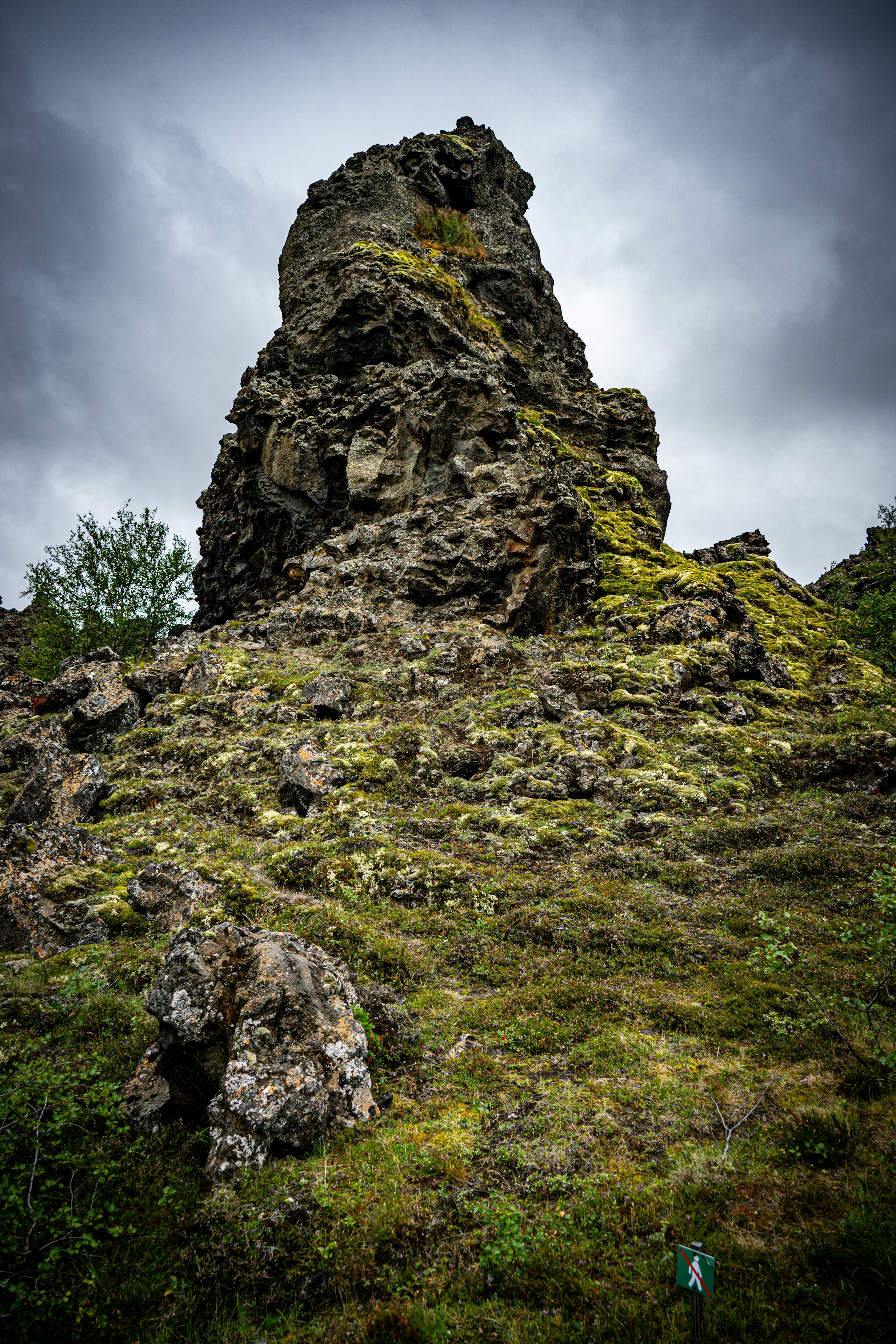 Photo by justmejuliee