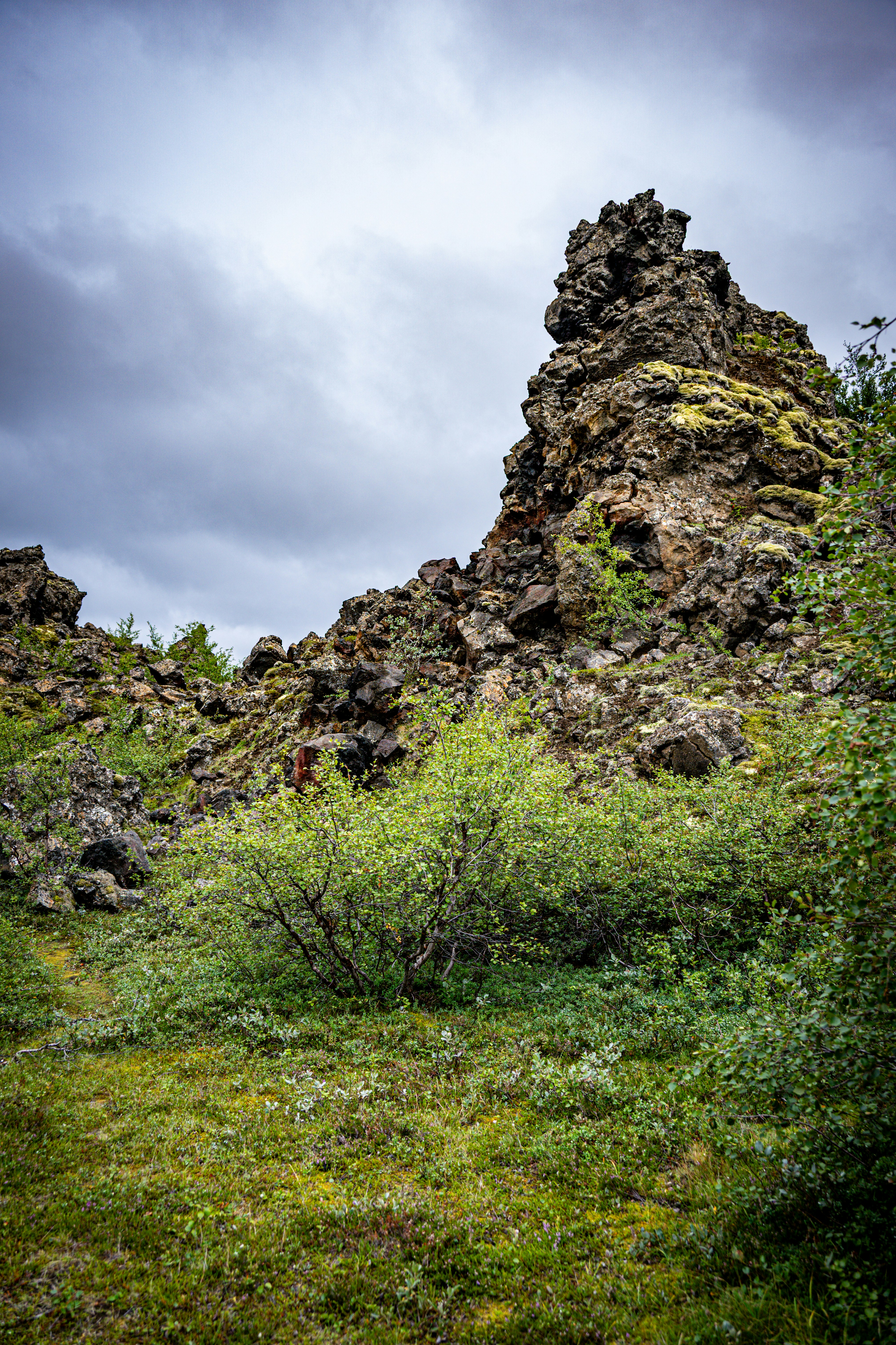 Photo by justmejuliee