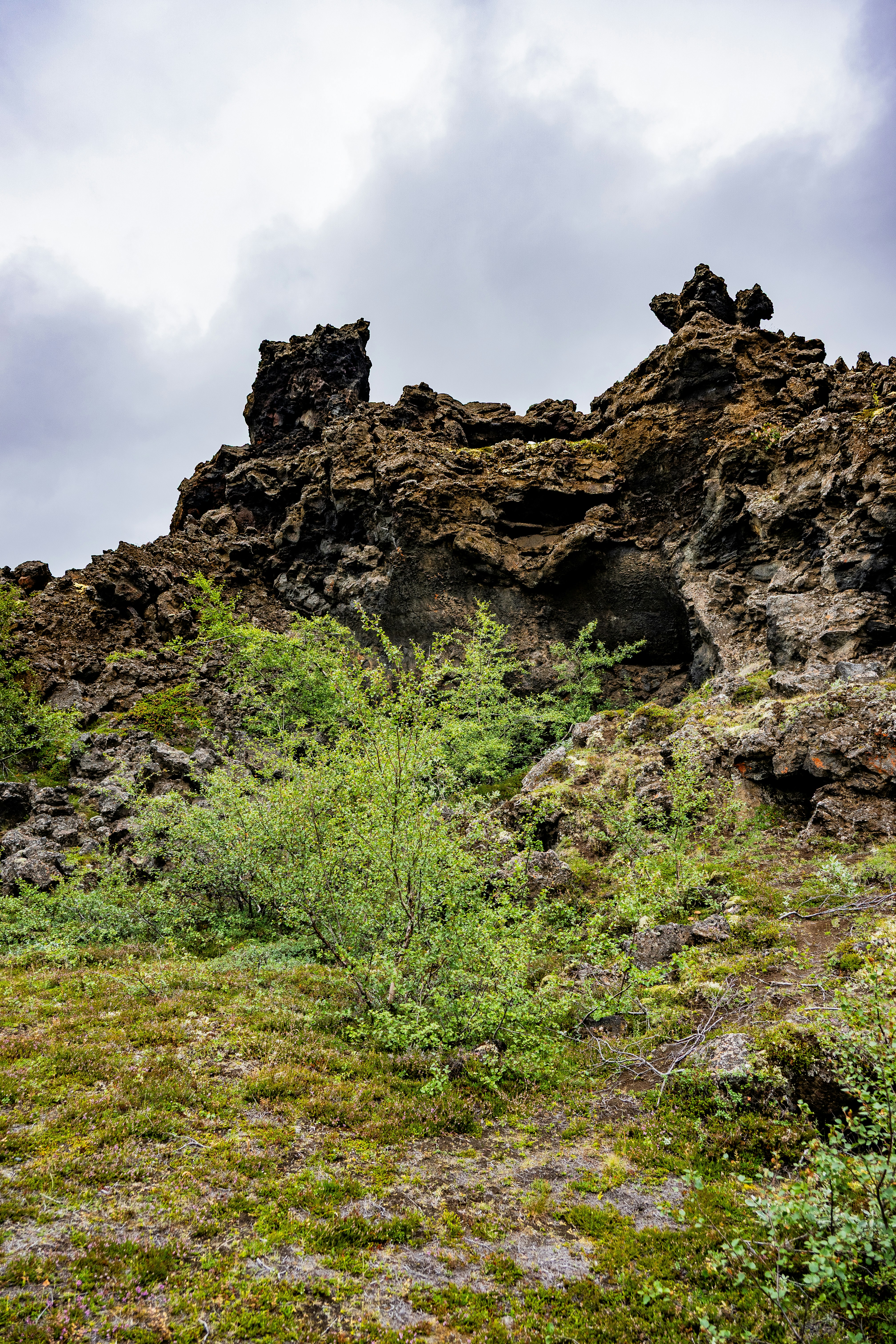 Photo by justmejuliee