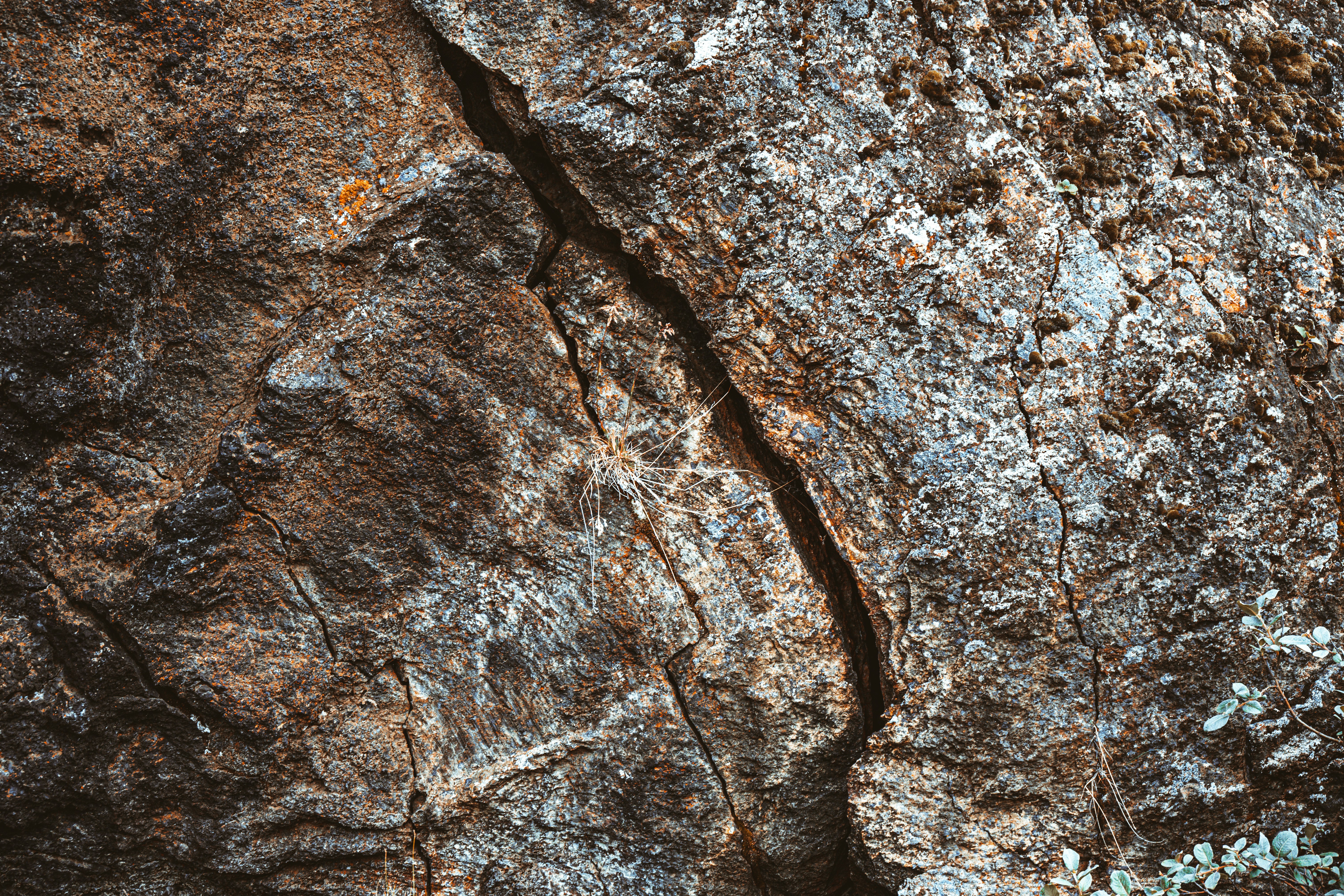 Photo by justmejuliee