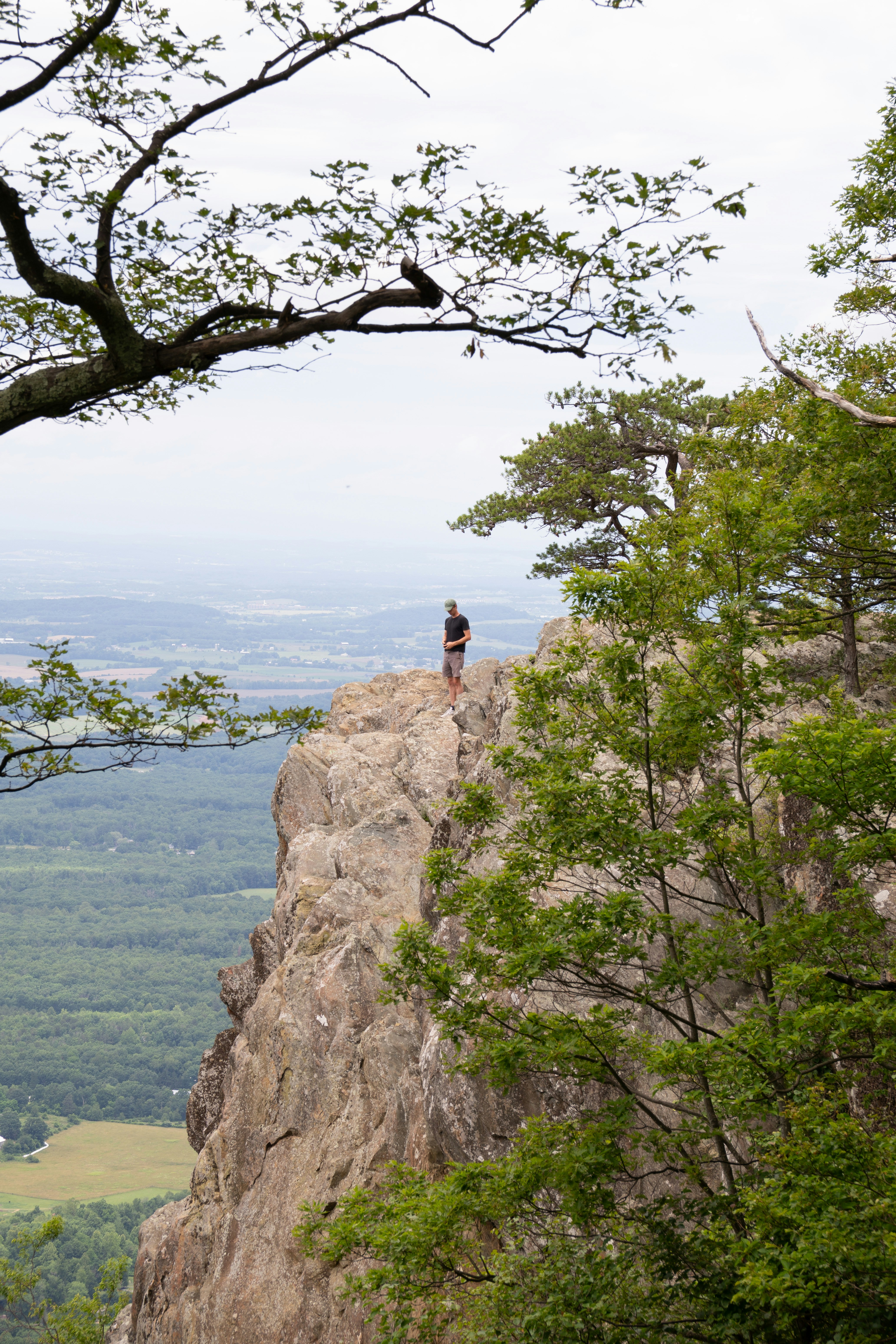 Photo by walkerhaymes