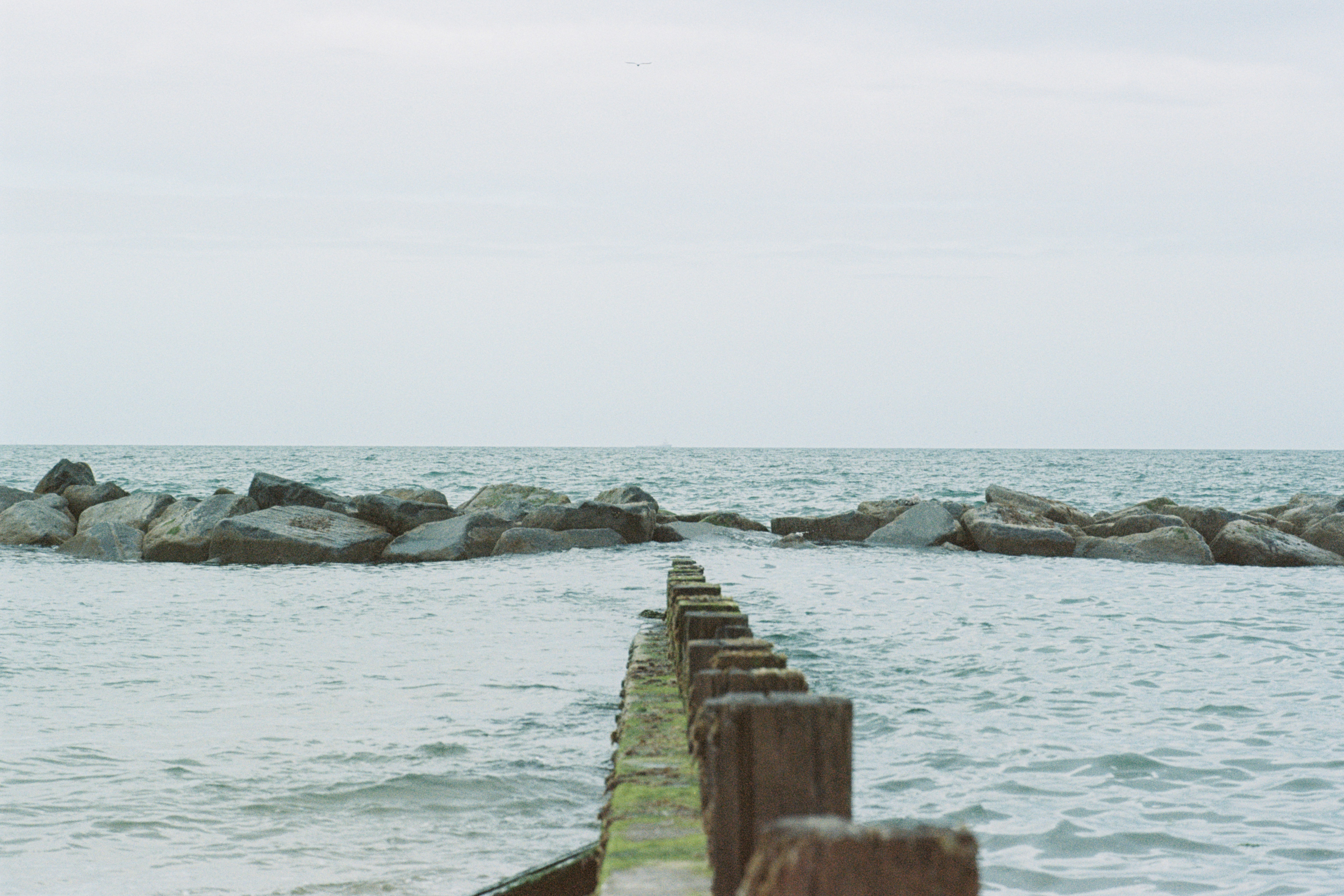 Photo by analoguematt