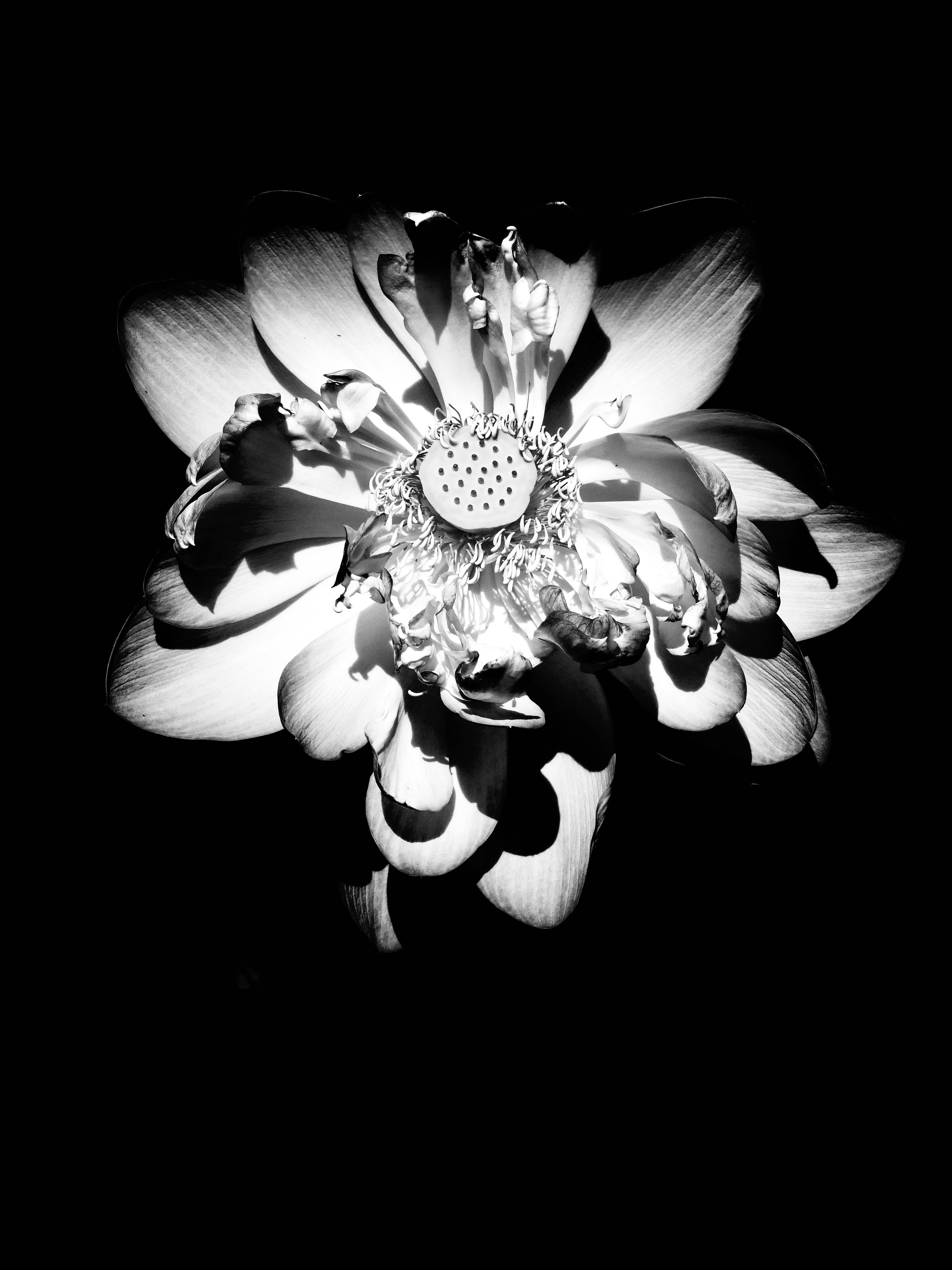 Photo by sschusterphotoart