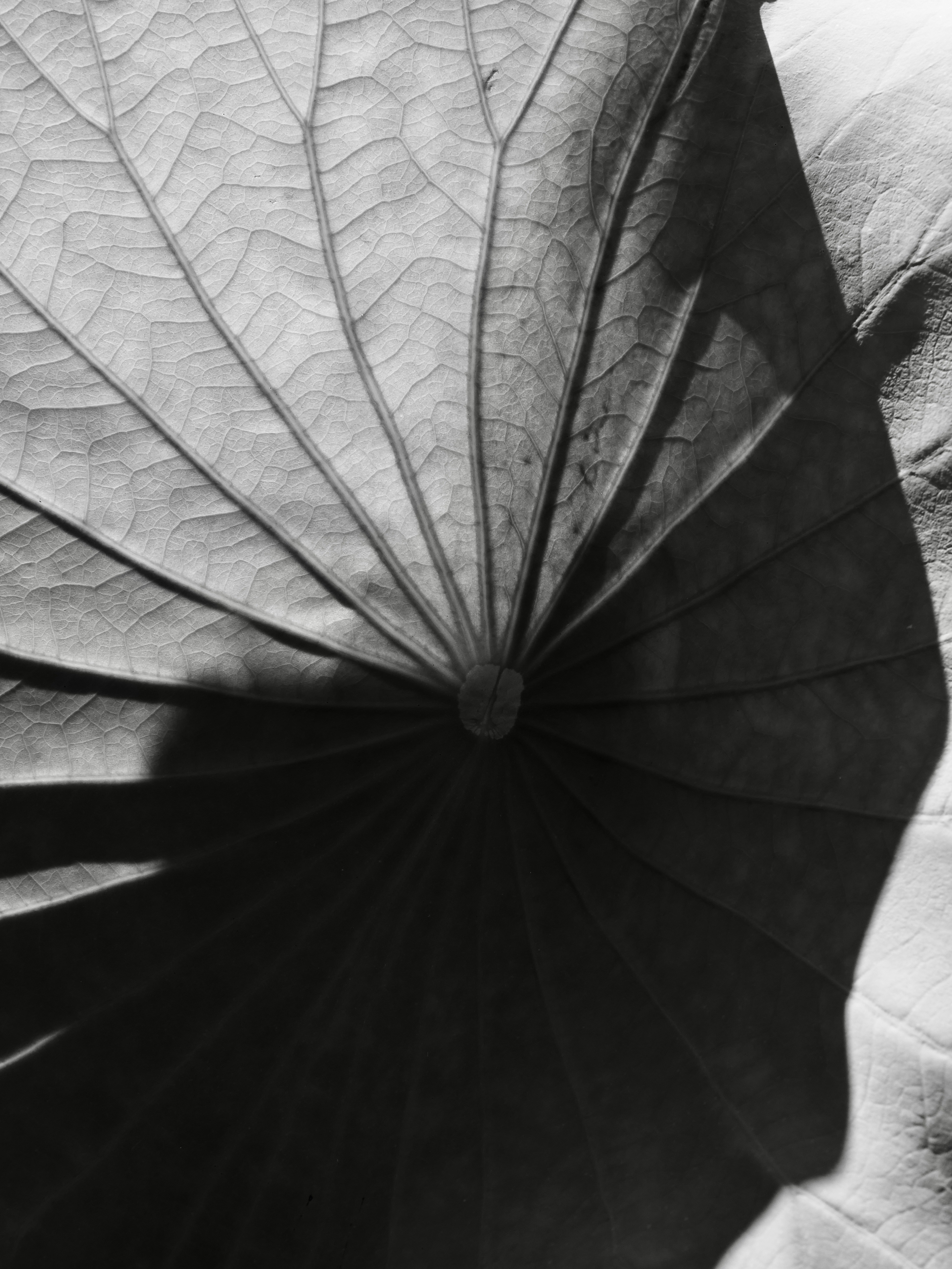 Photo by sschusterphotoart