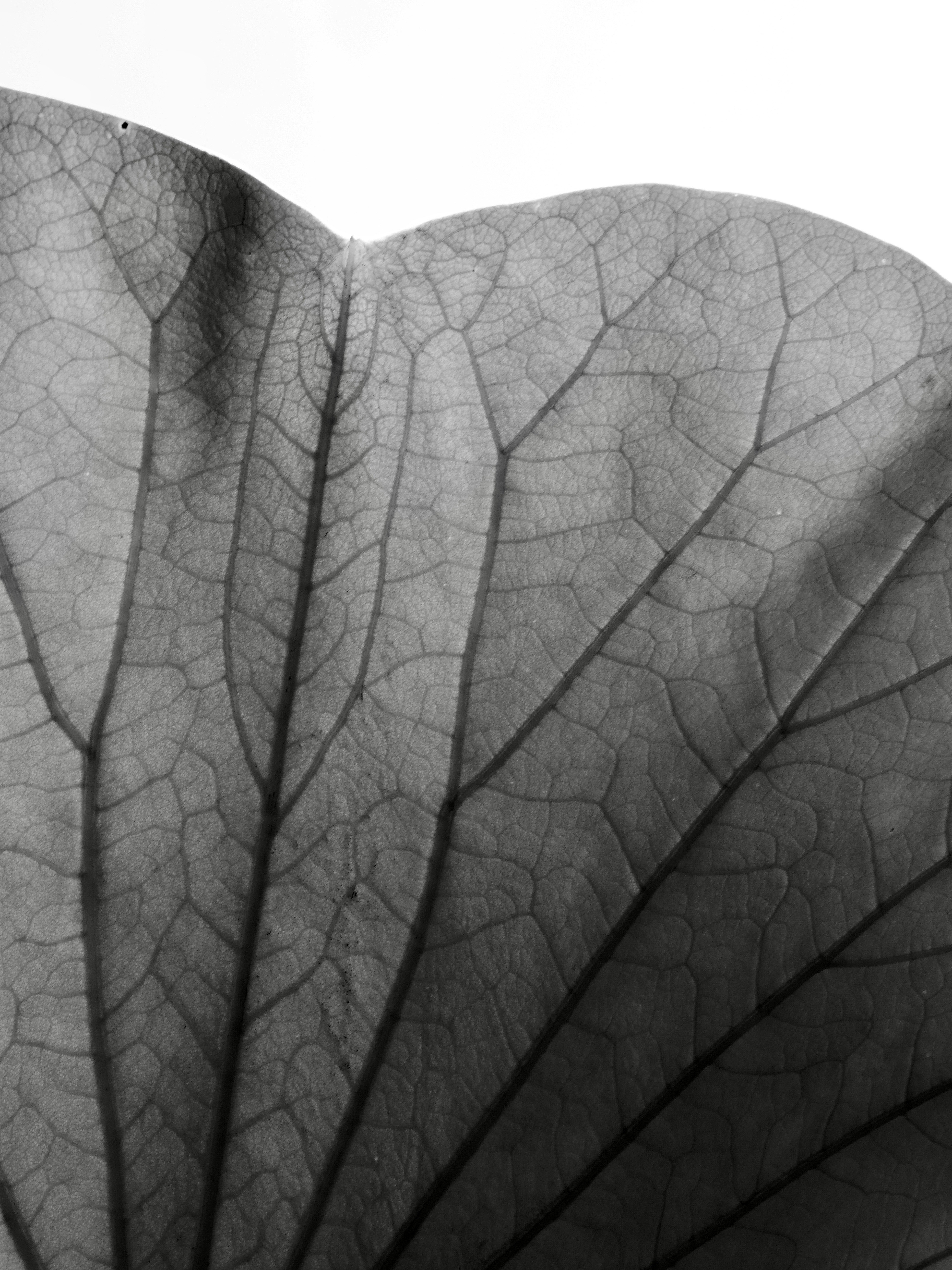 Photo by sschusterphotoart