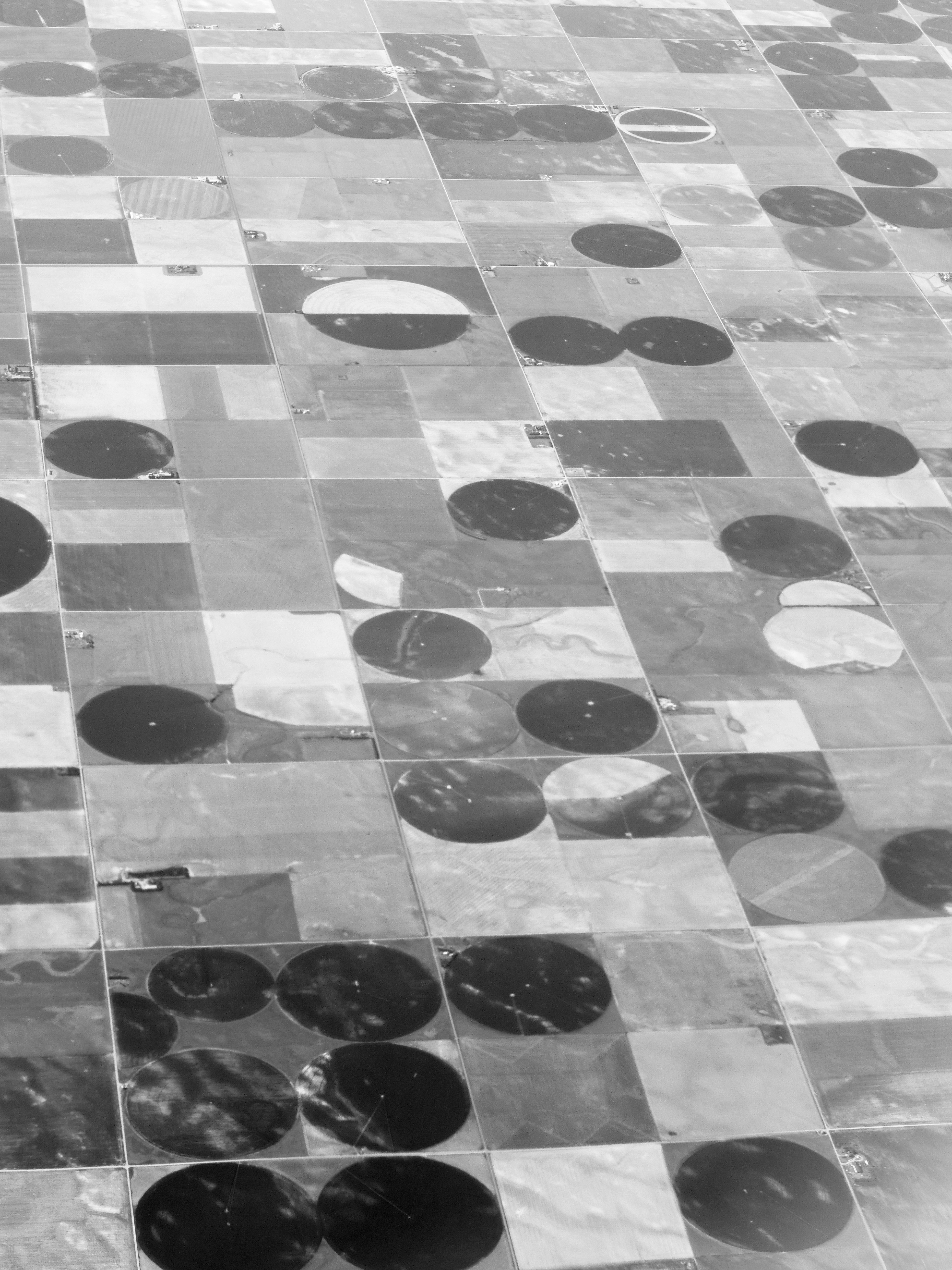 Photo by sschusterphotoart