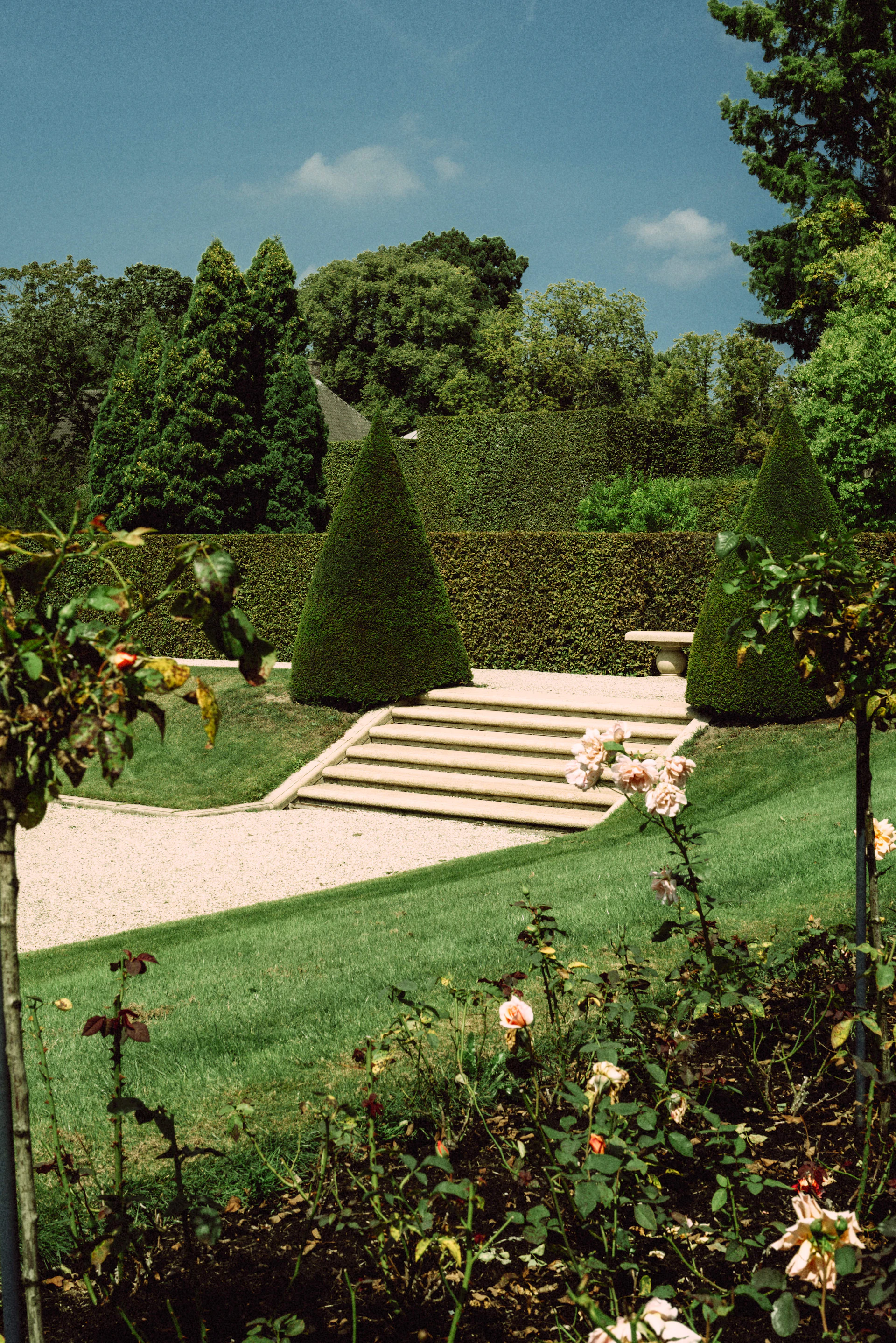 Professionally landscaped garden with manicured hedges and stone steps