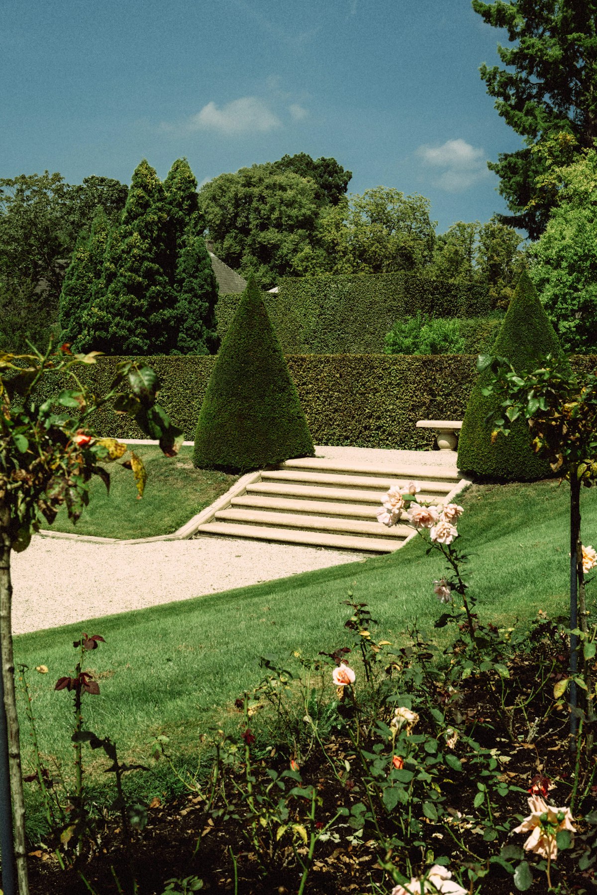 Manicured garden with topiaries, stone steps, and well-maintained hedges