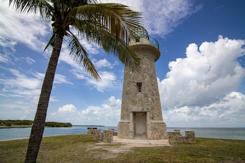 Stone lighthouse on a grassy shore with palm tree