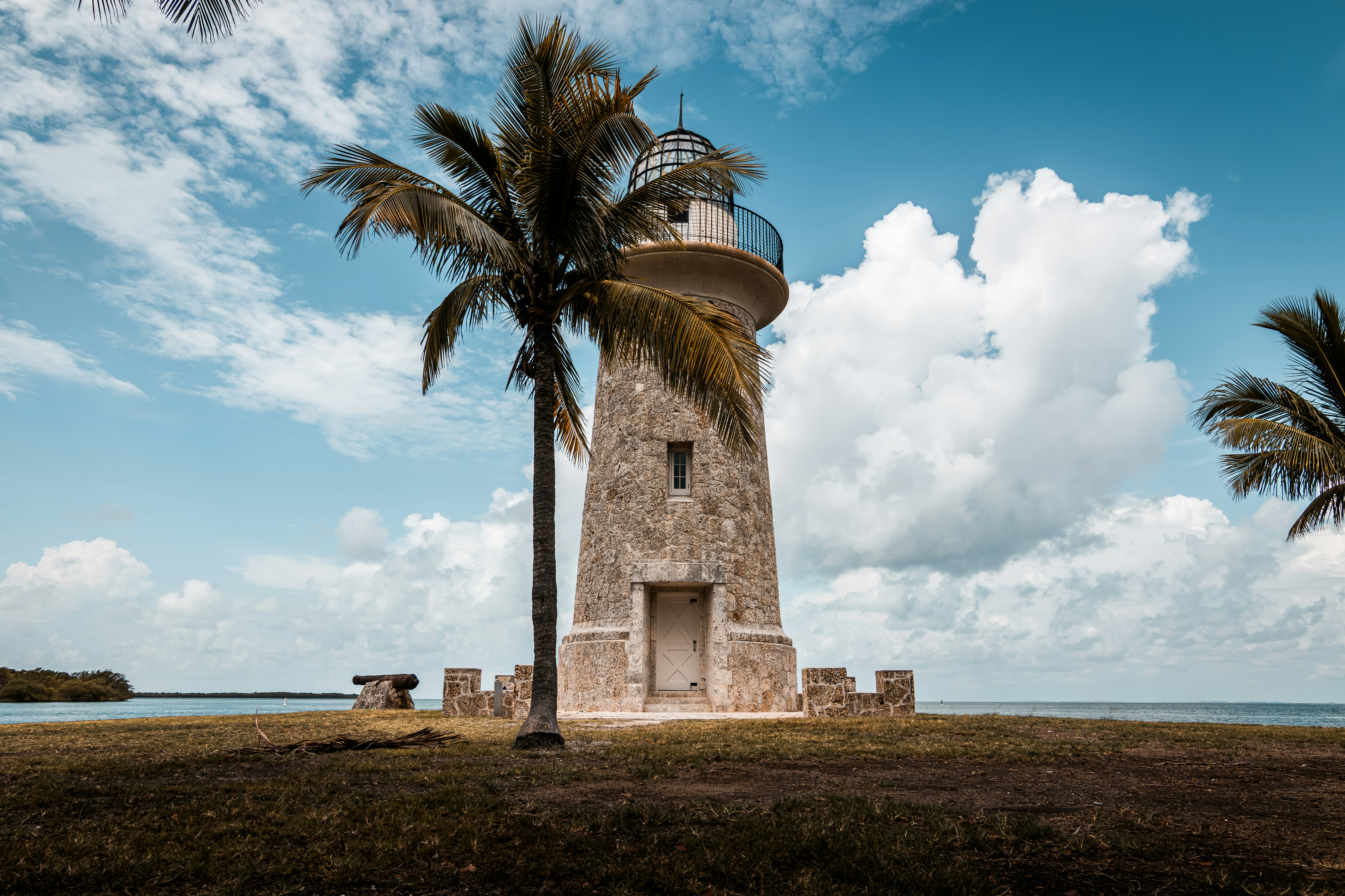 화창한 날에 야자수가 있는 돌 등대