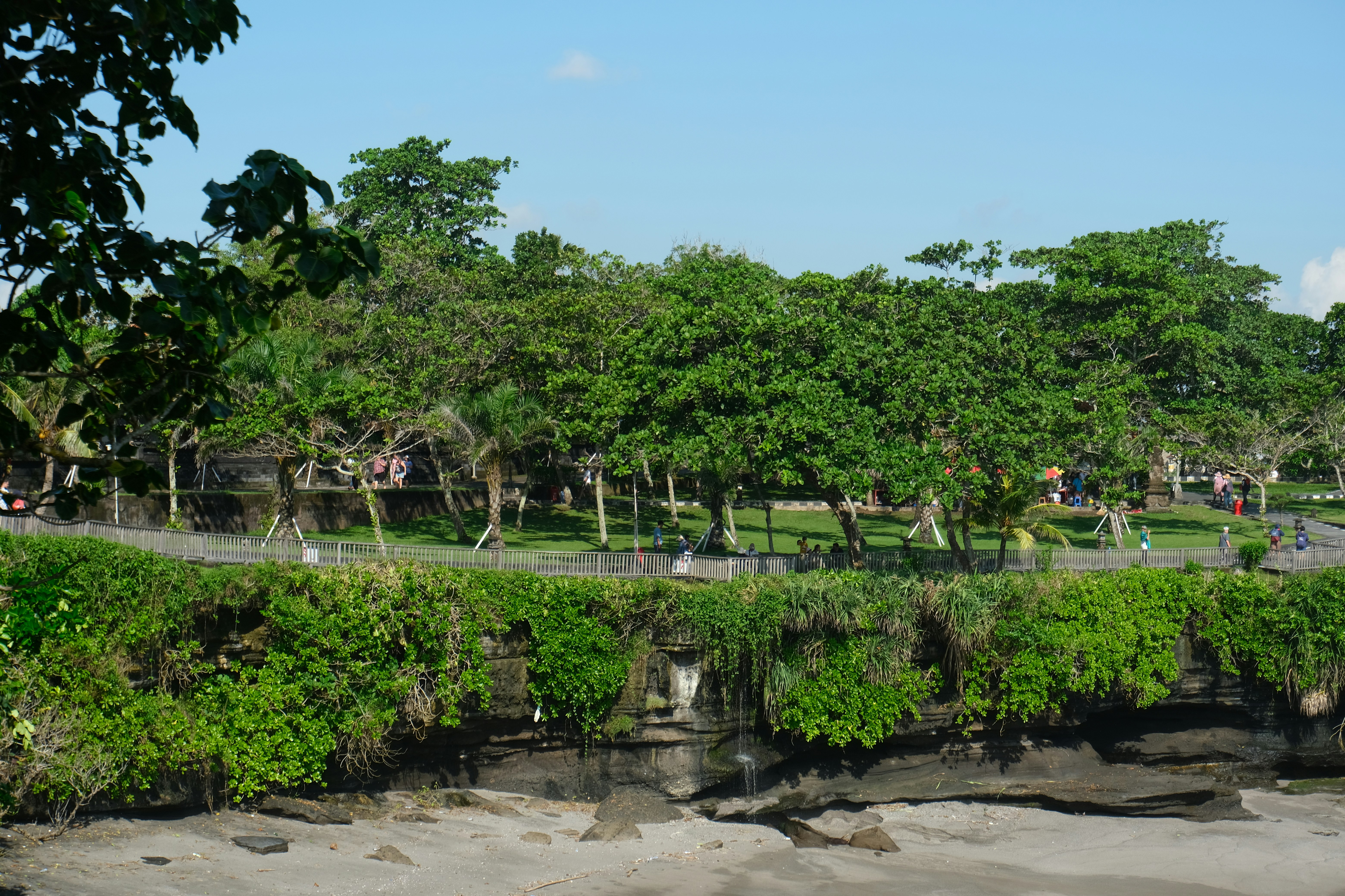 Lush green trees and vegetation by a sandy shore