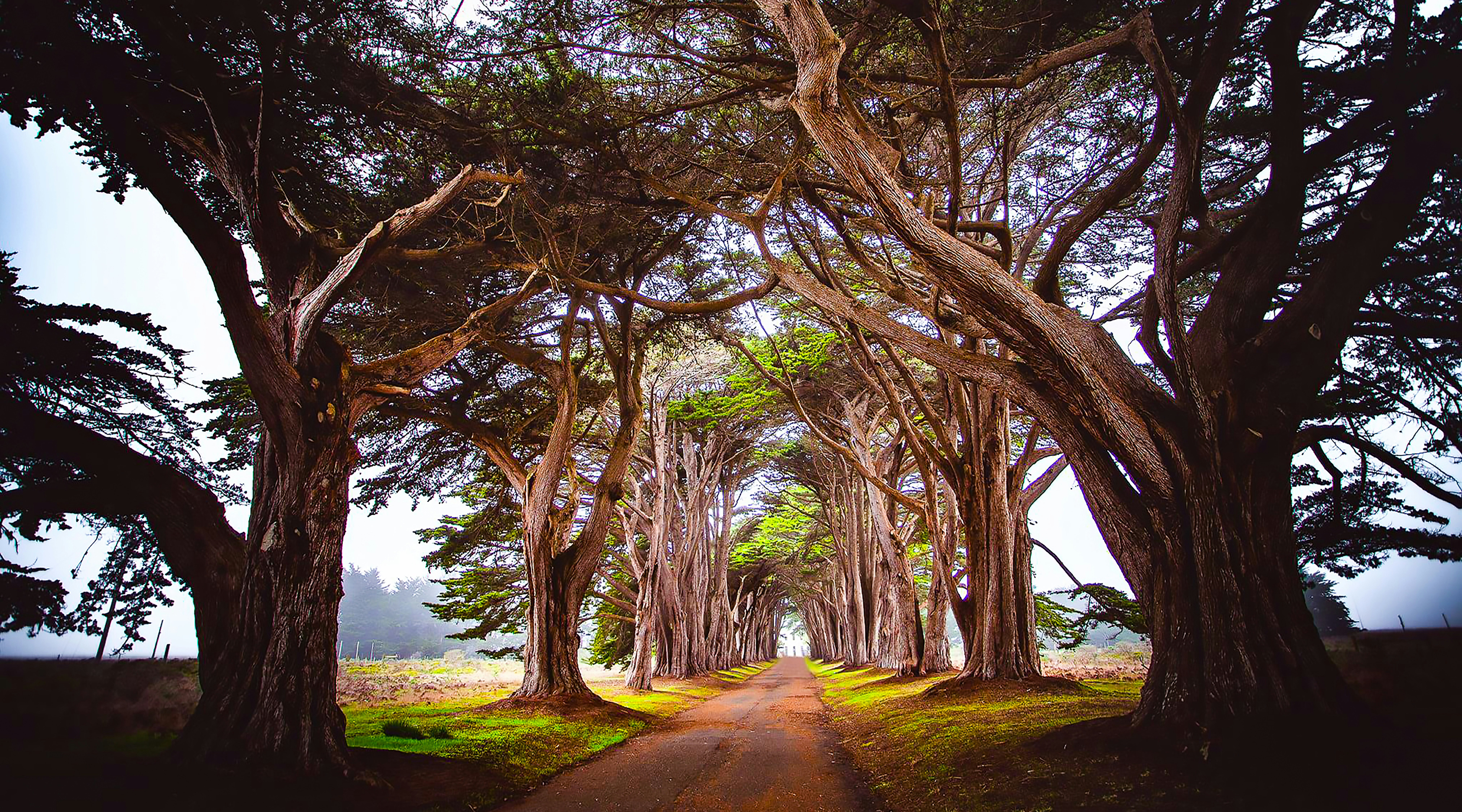 Photo by canon_guy84