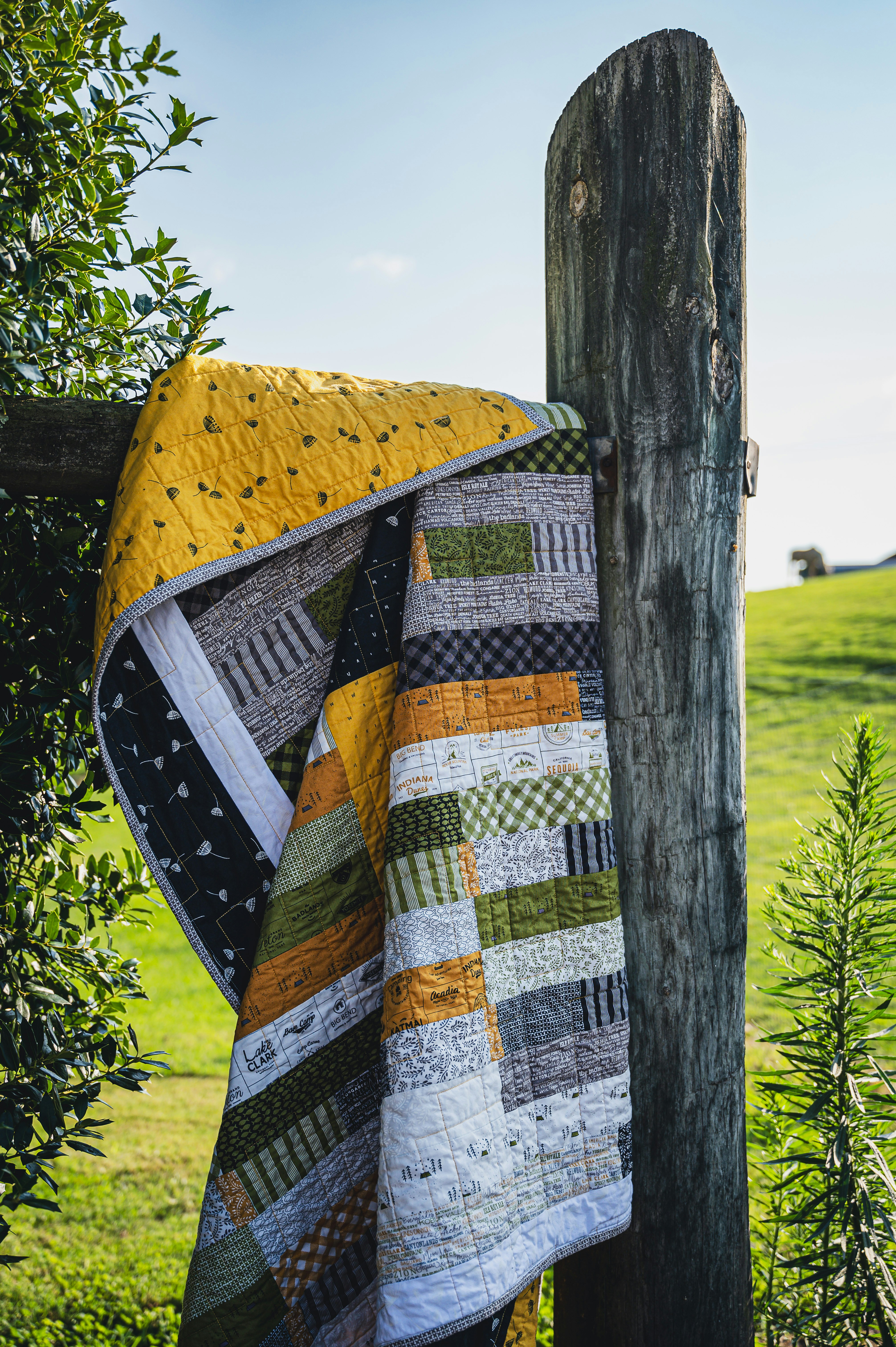 Pachelis Design, LLC's image