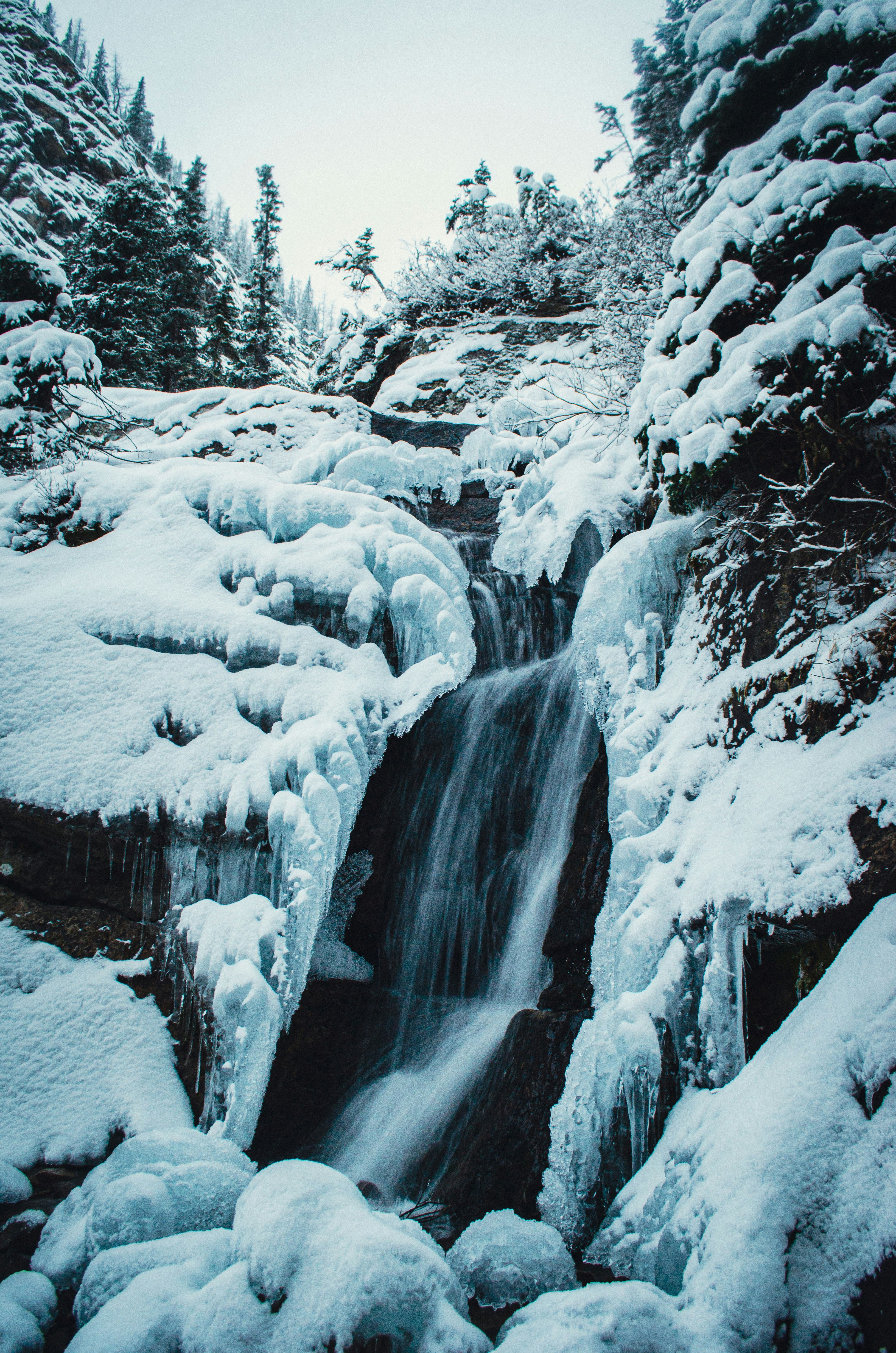 Photo by dmytro_yarish