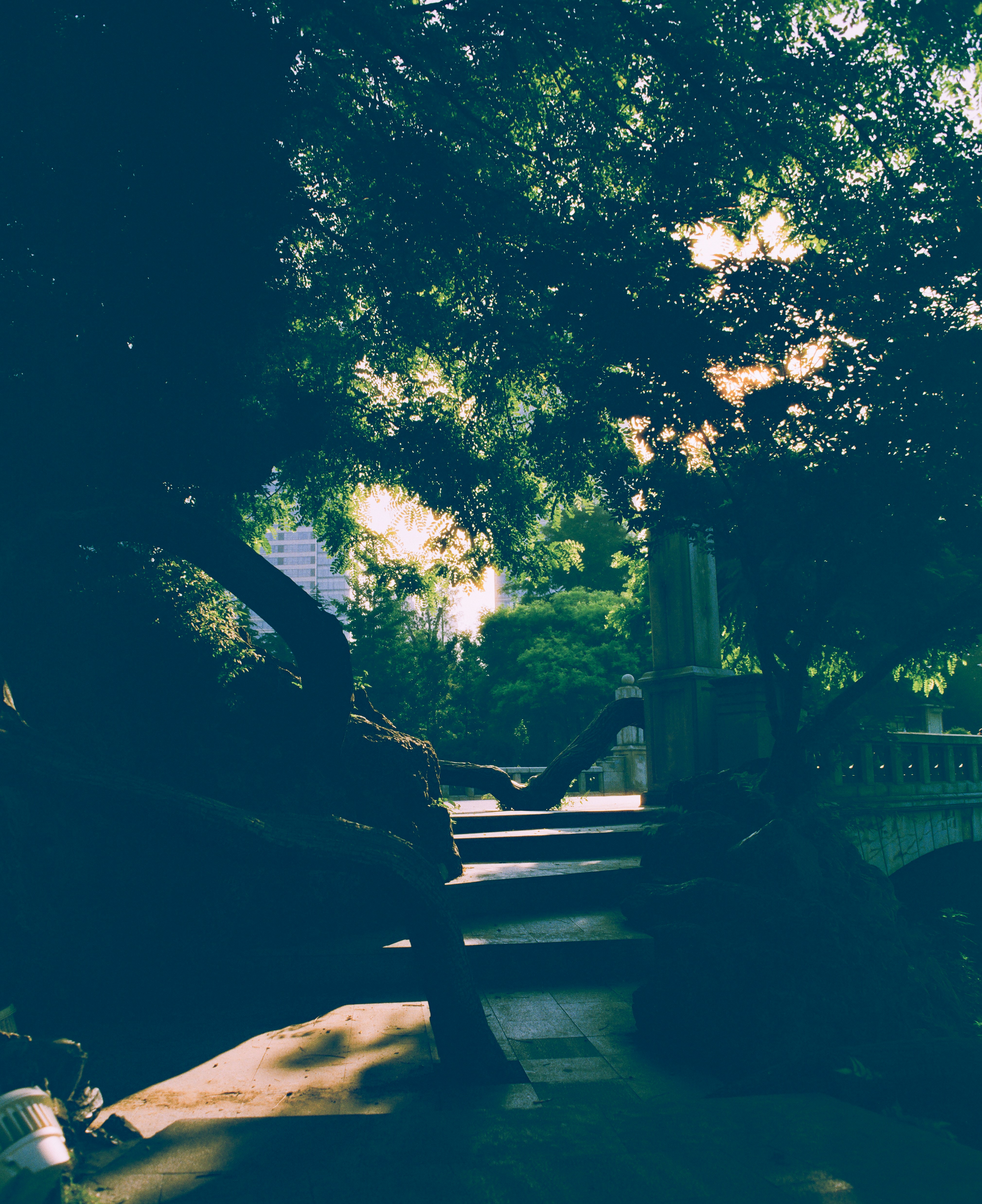 Photo by nihthu