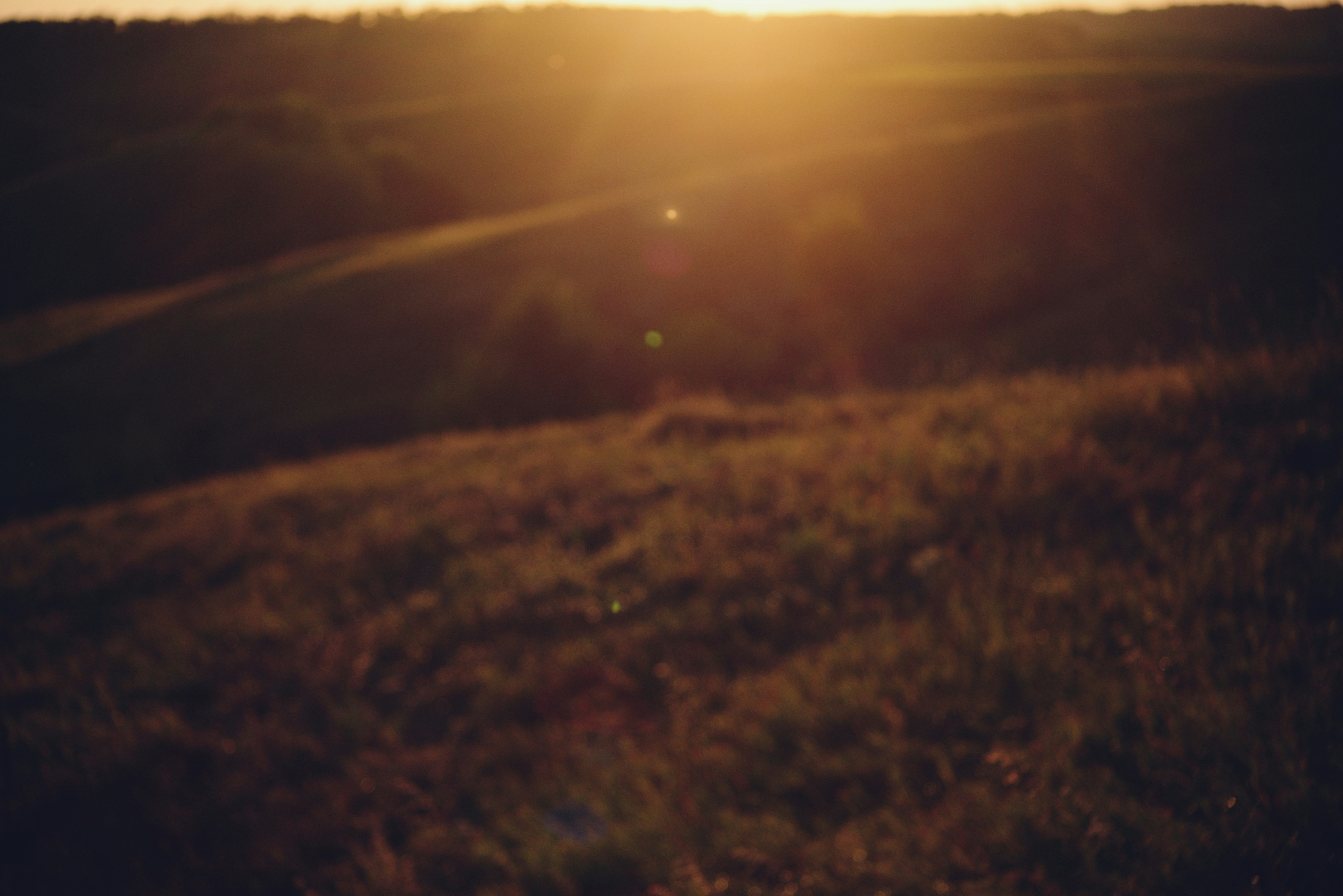 Photo by cherstve_pechivo