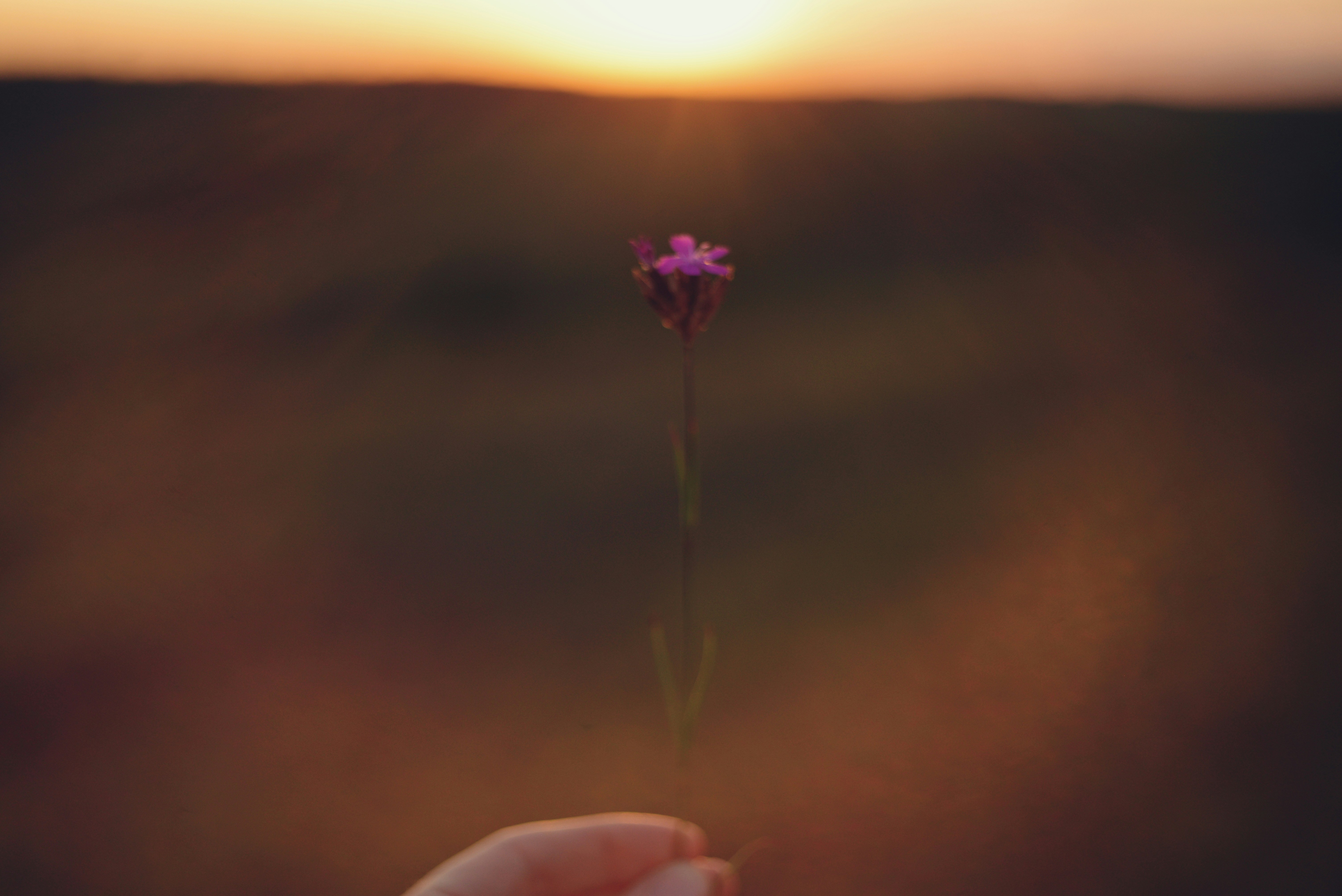 Photo by cherstve_pechivo