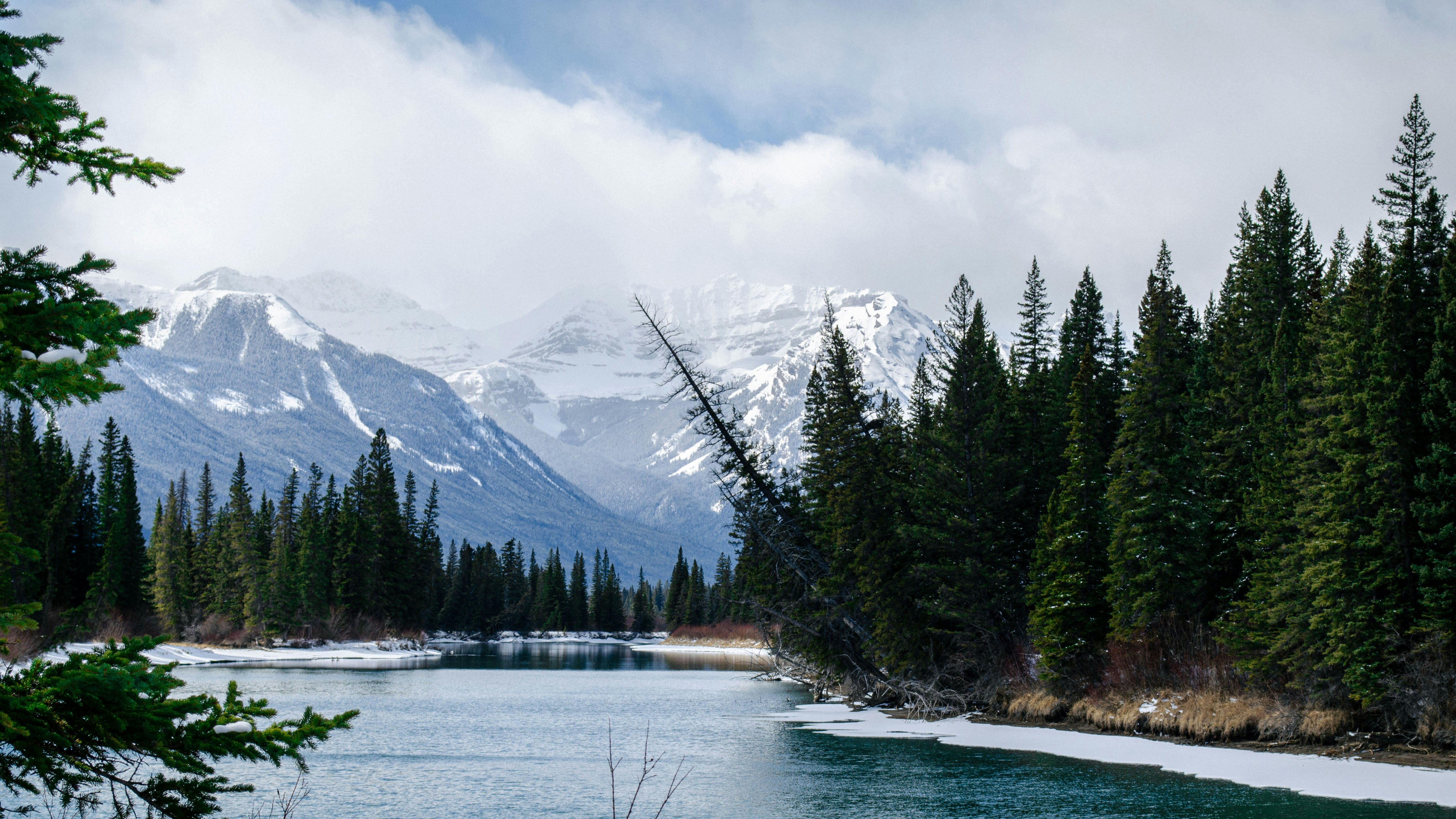 Photo by dmytro_yarish