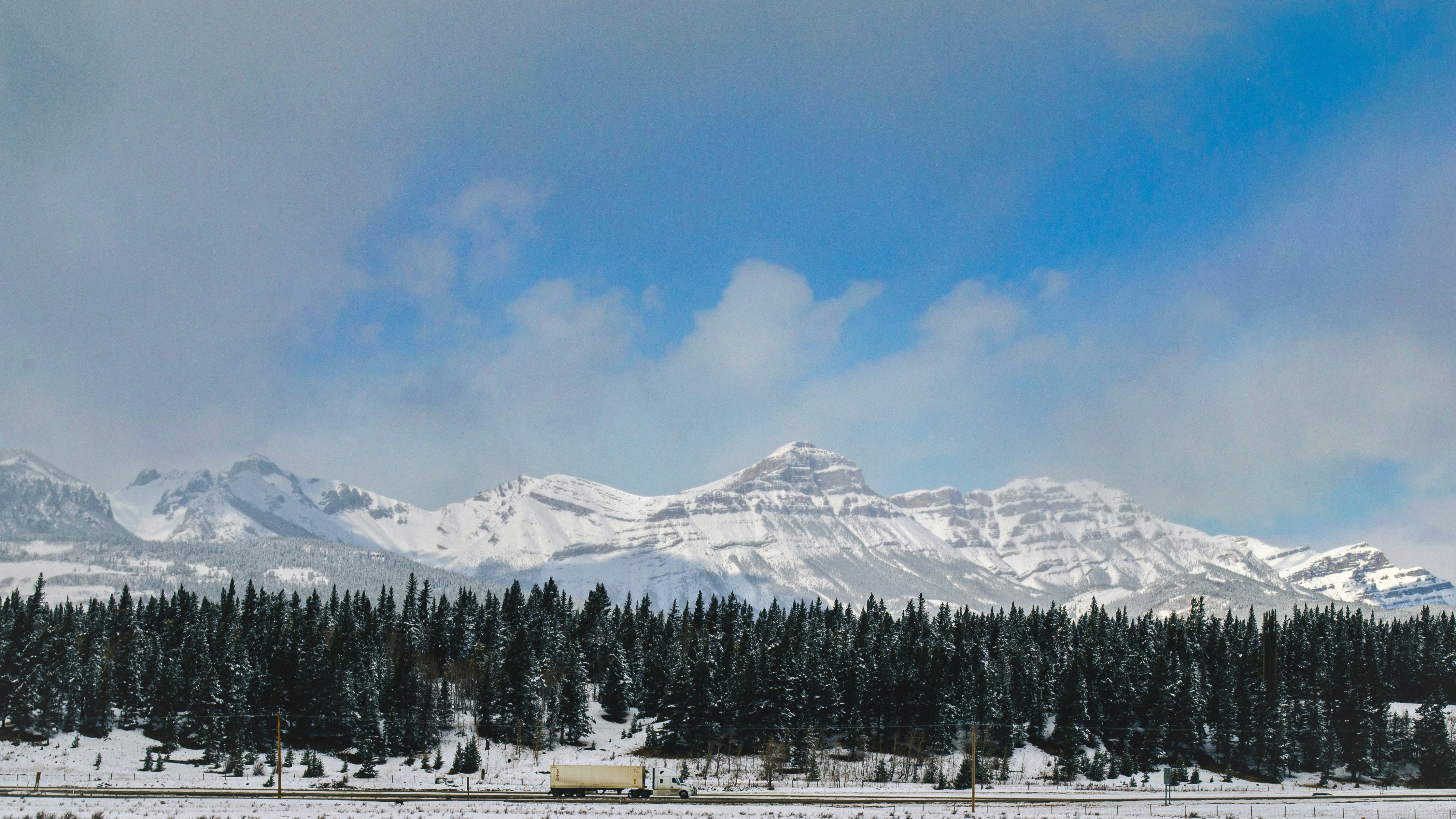 Photo by dmytro_yarish