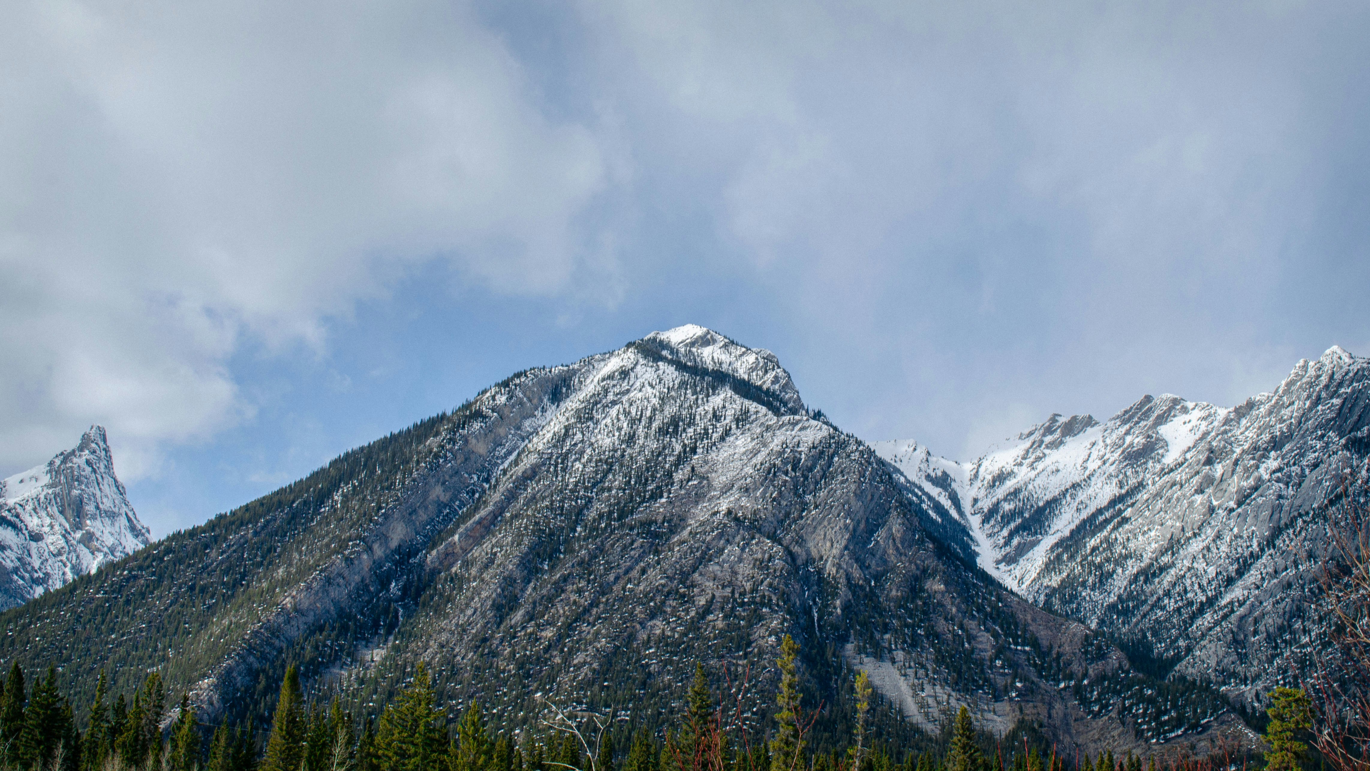 Photo by dmytro_yarish