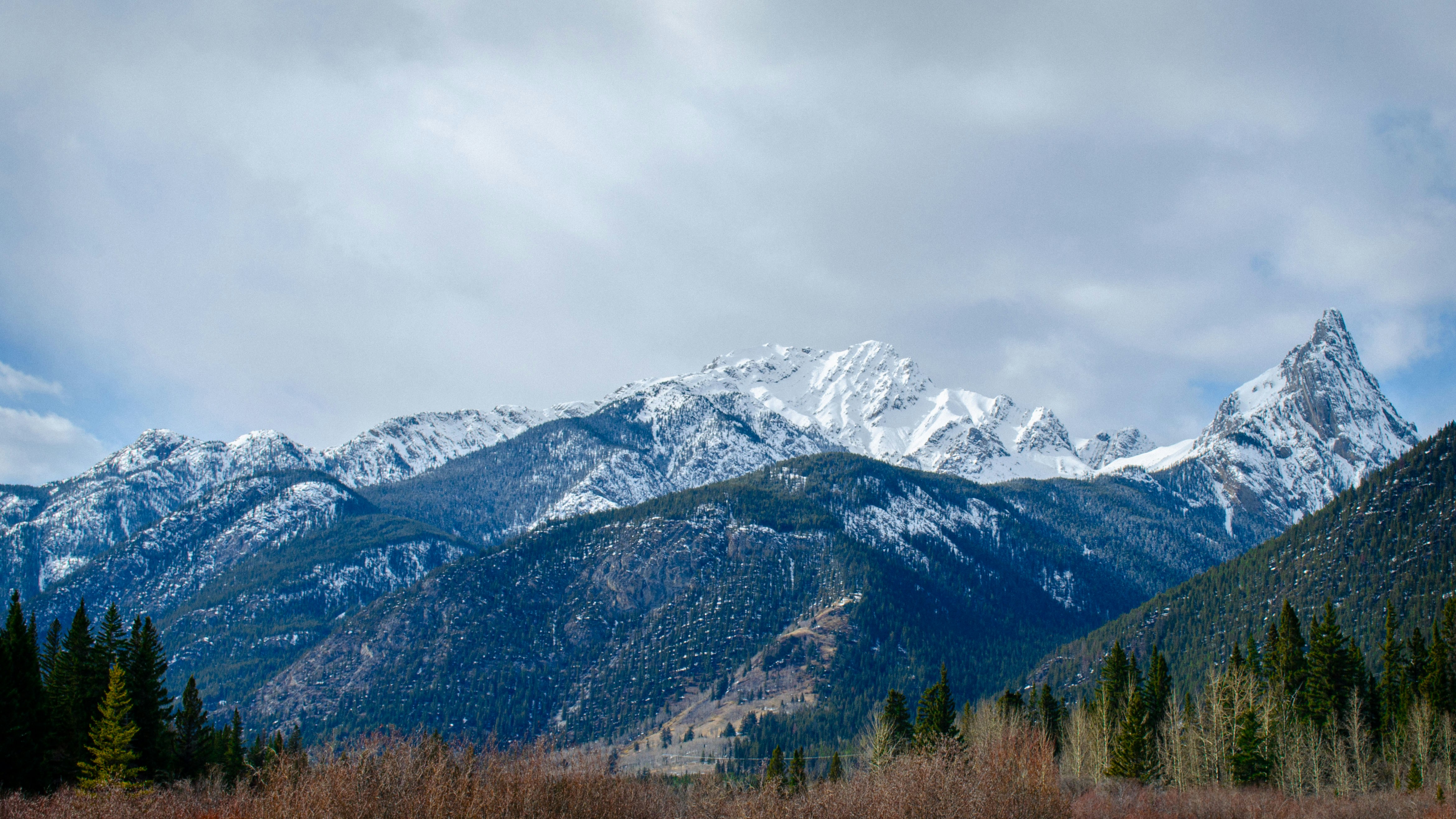 Photo by dmytro_yarish