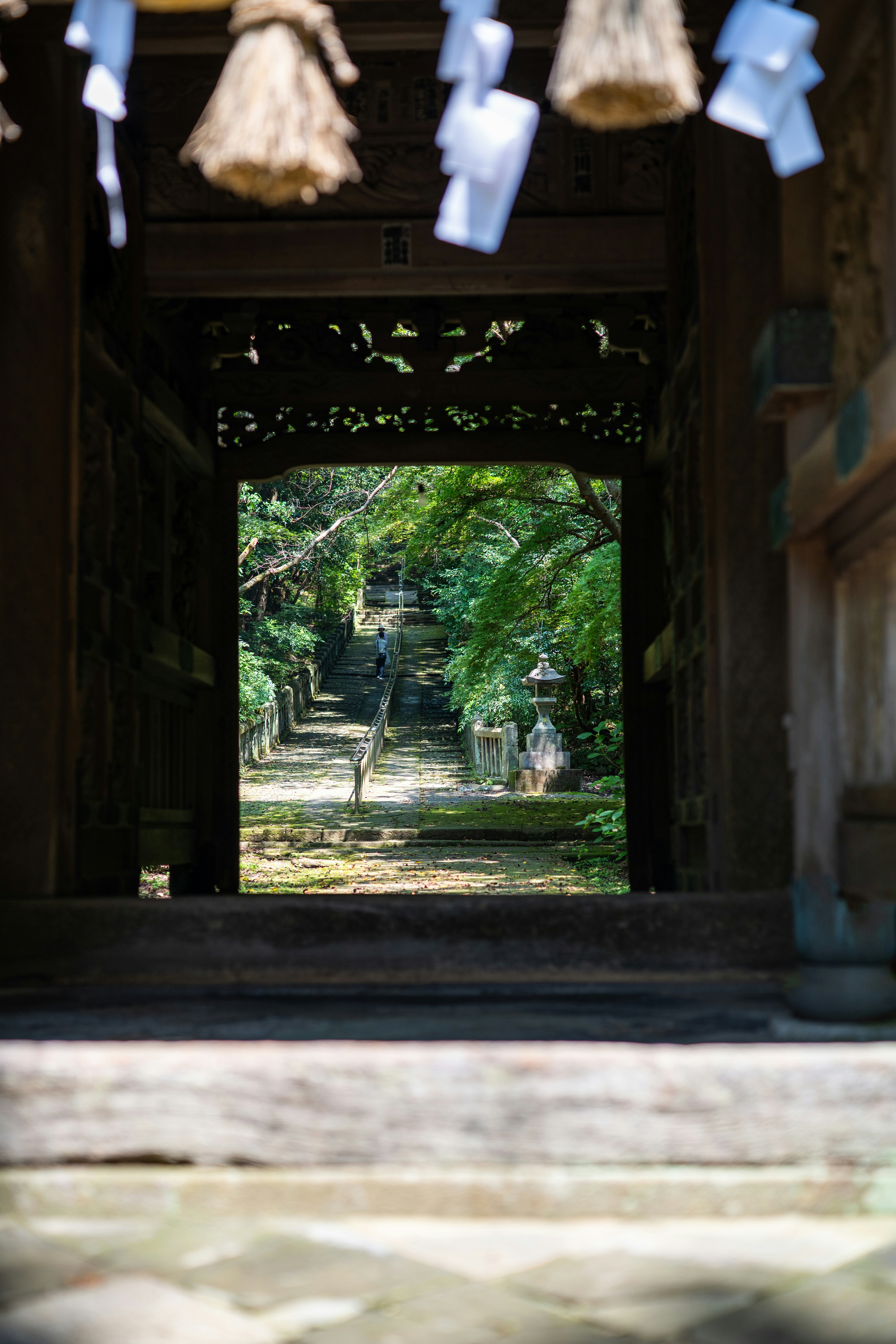 Photo by pafuxu
