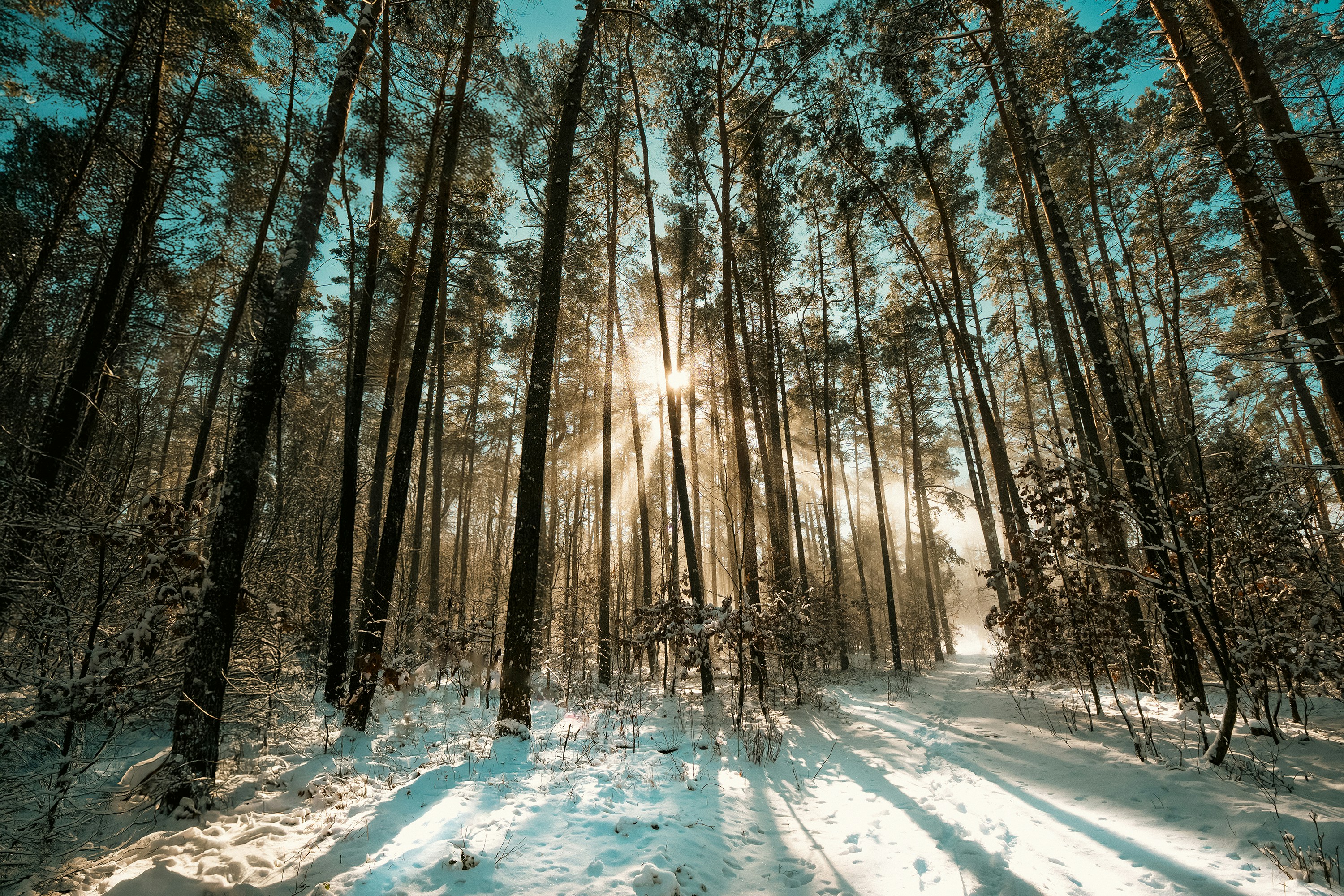 Photo by jakubzerdzicki