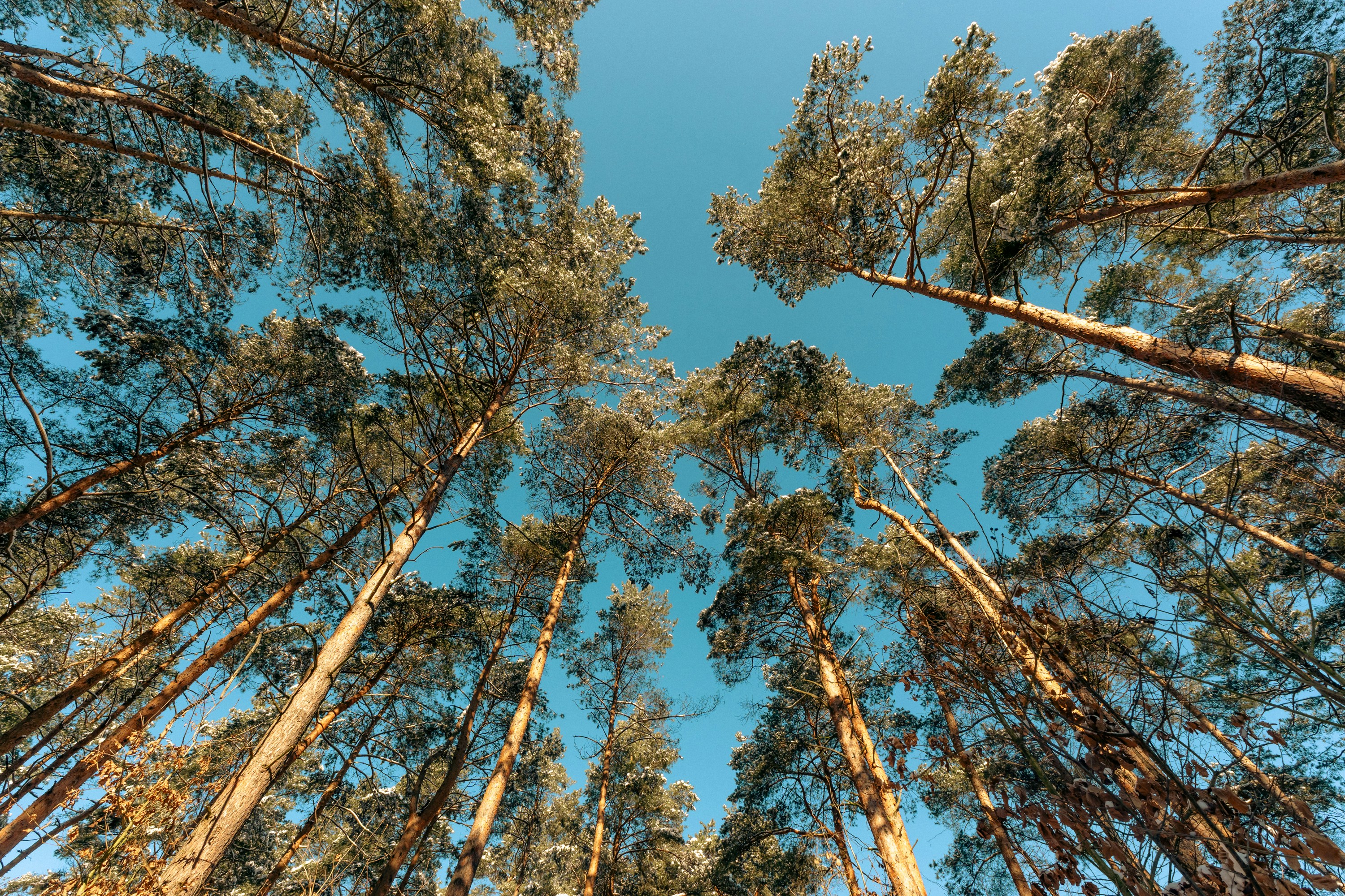 Photo by jakubzerdzicki