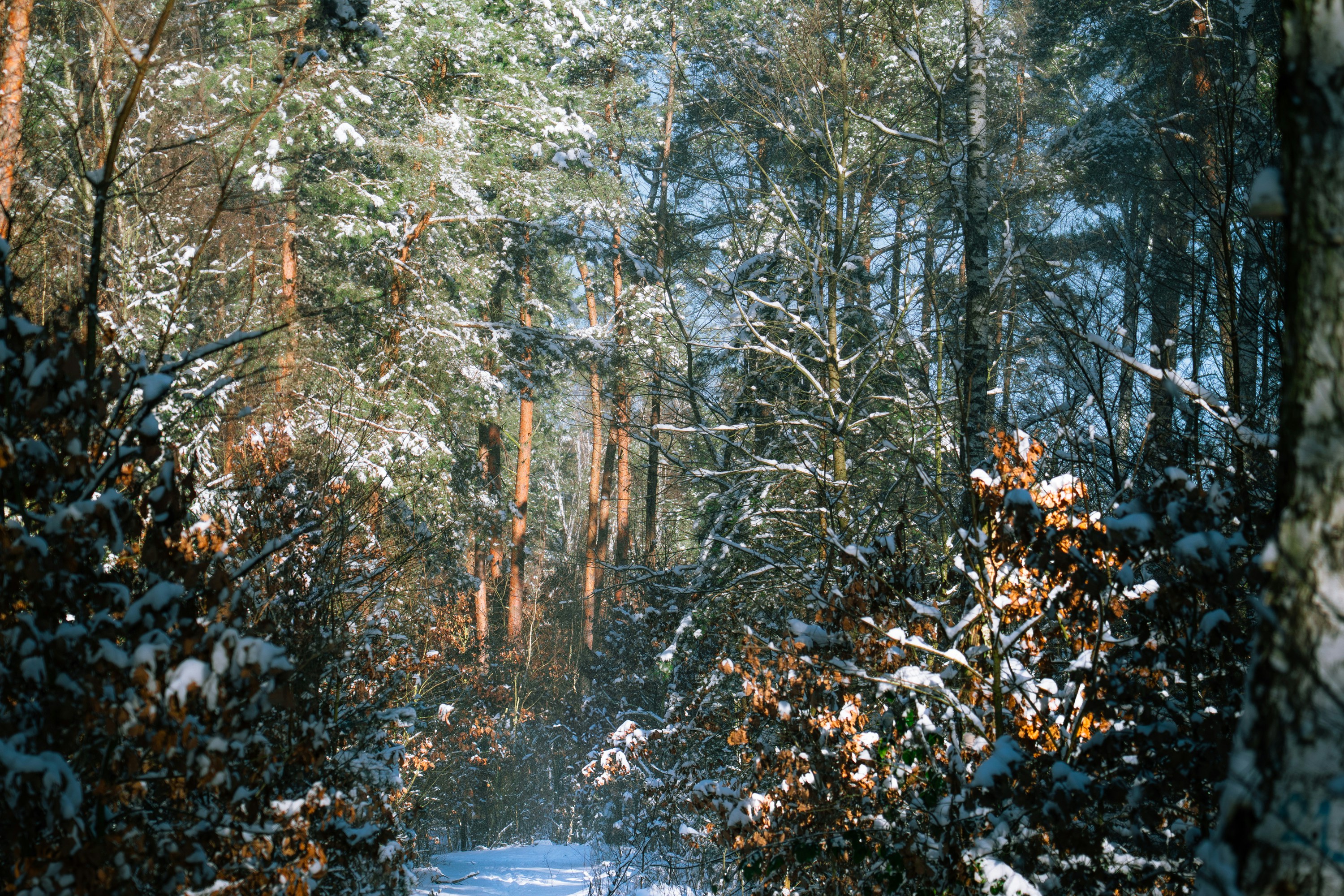 Photo by jakubzerdzicki