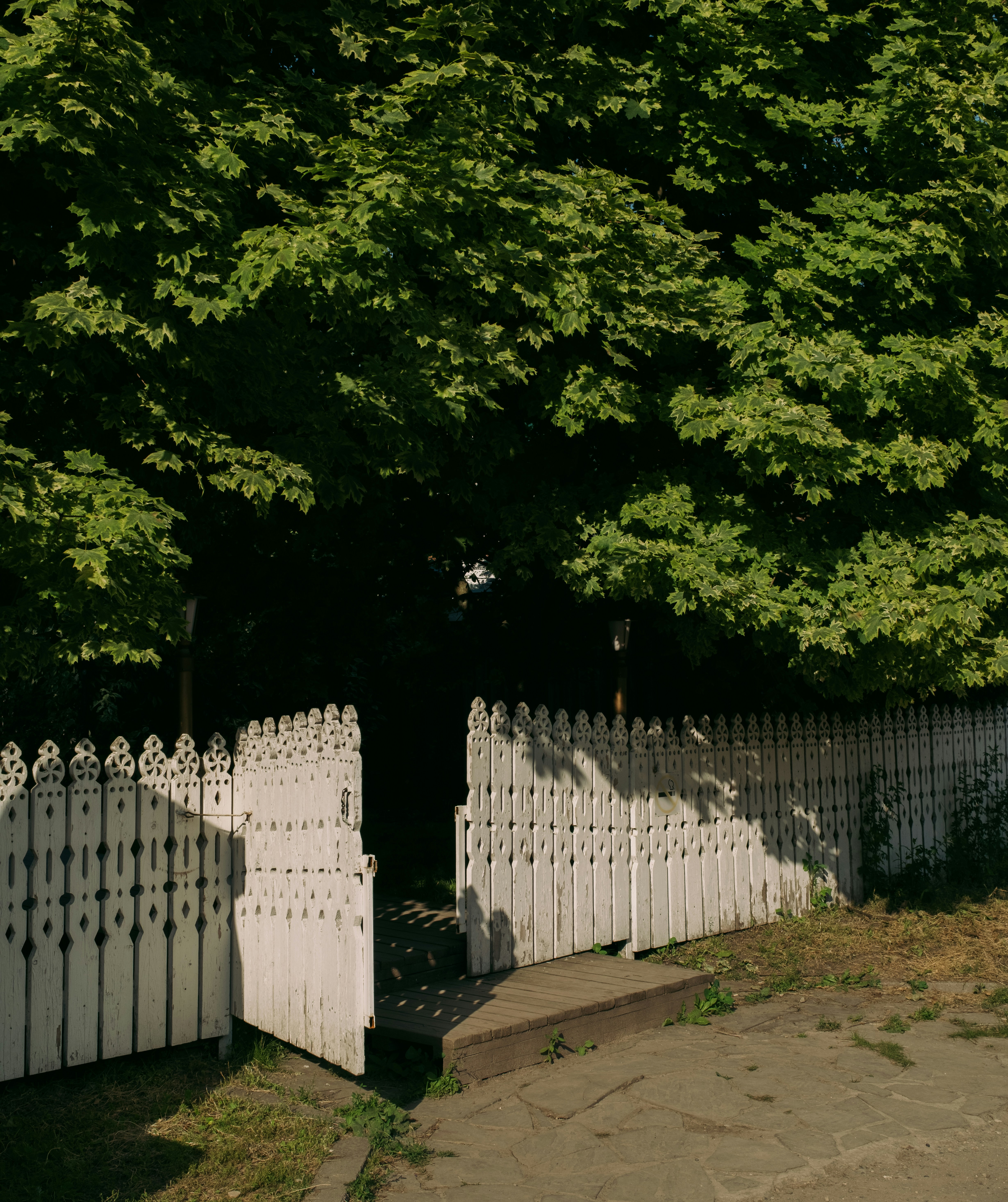 Photo by evil_bumblebee