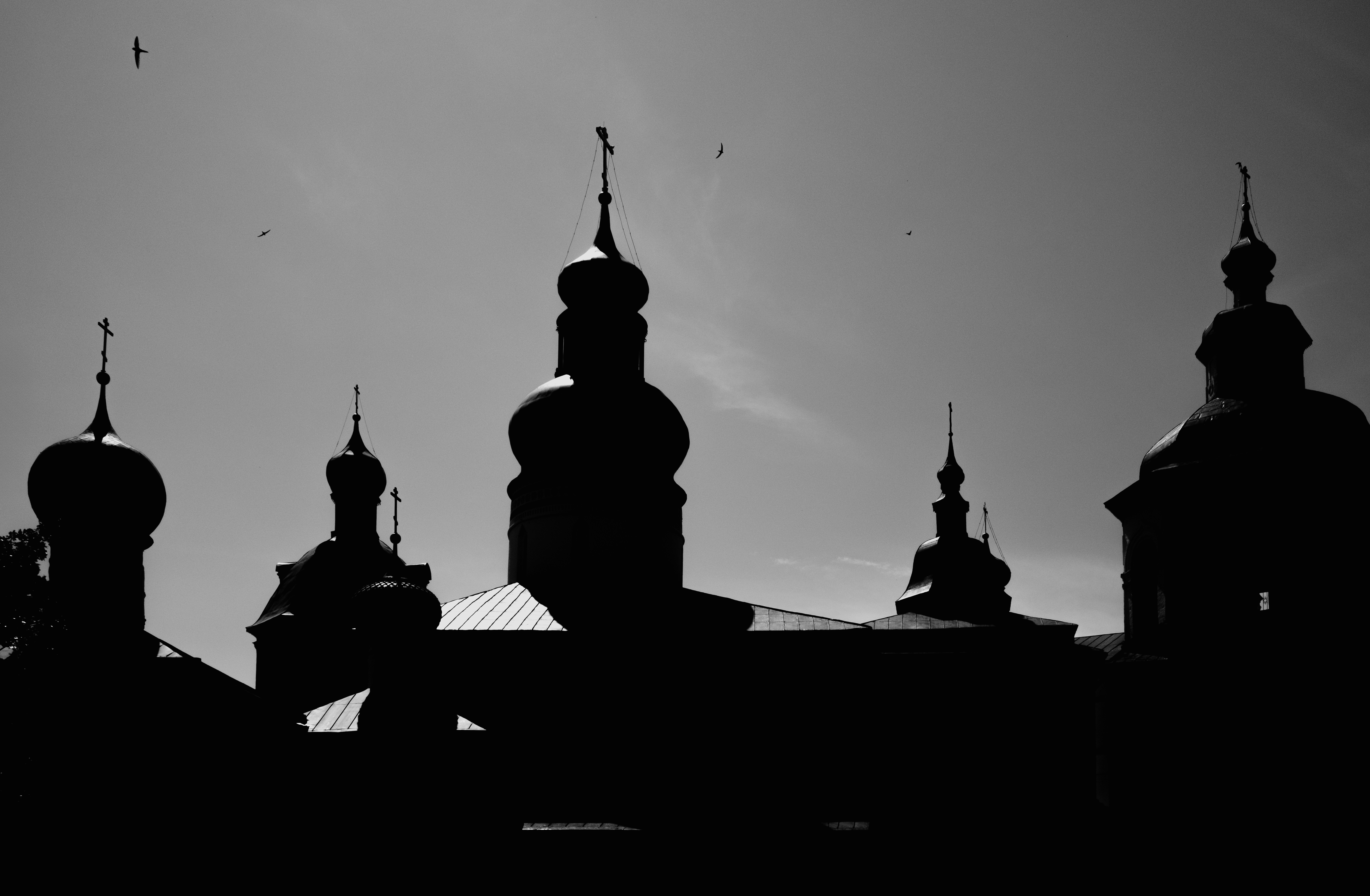 Photo by evil_bumblebee