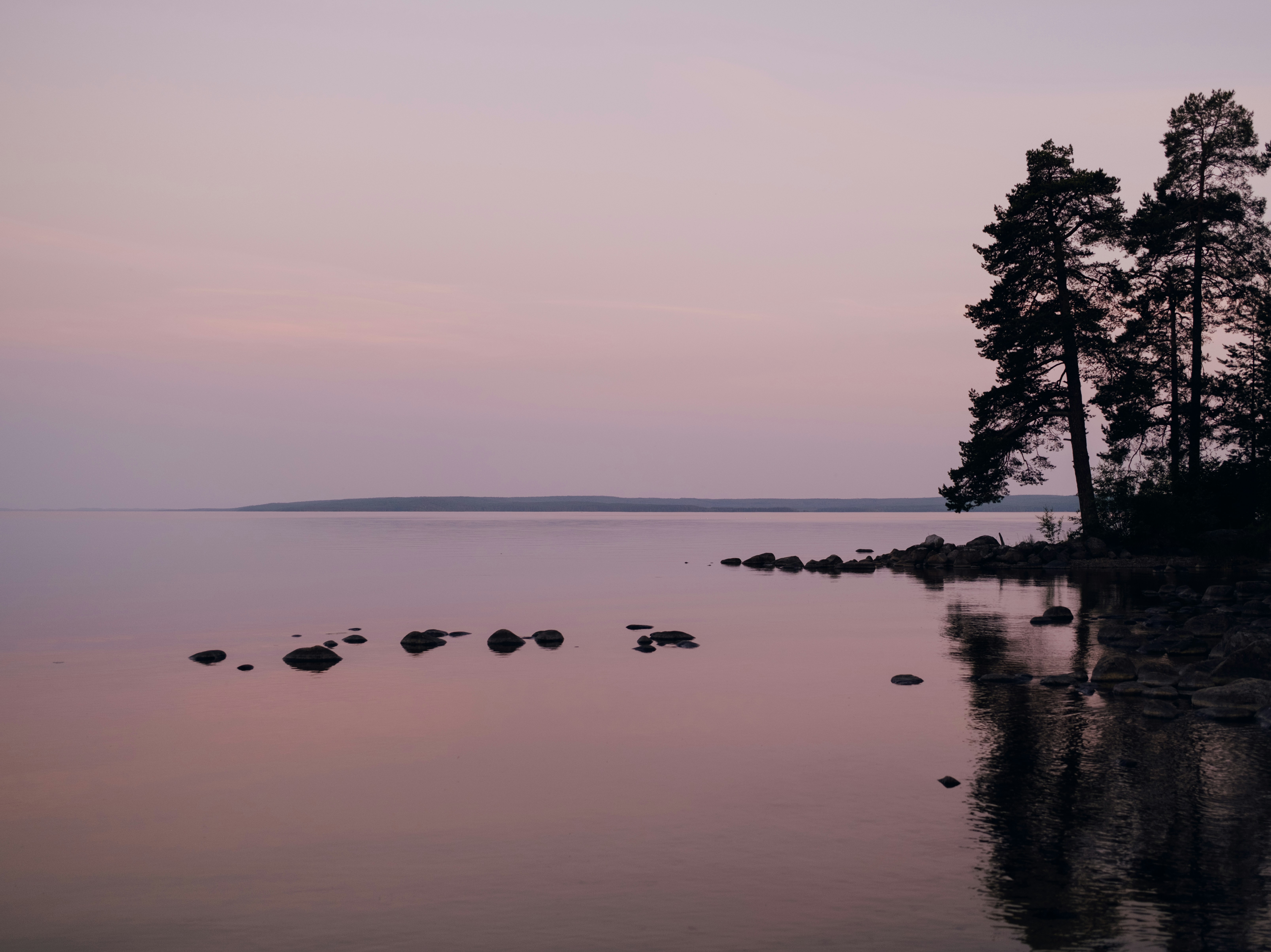 Photo by evil_bumblebee